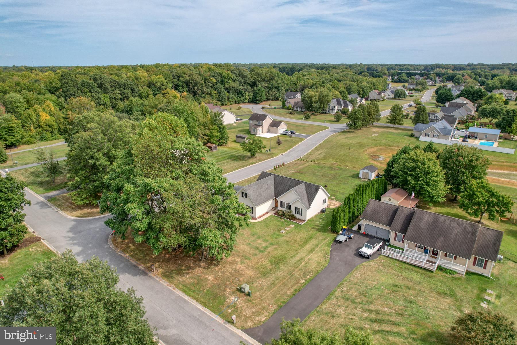 207 TALL TREE COURT