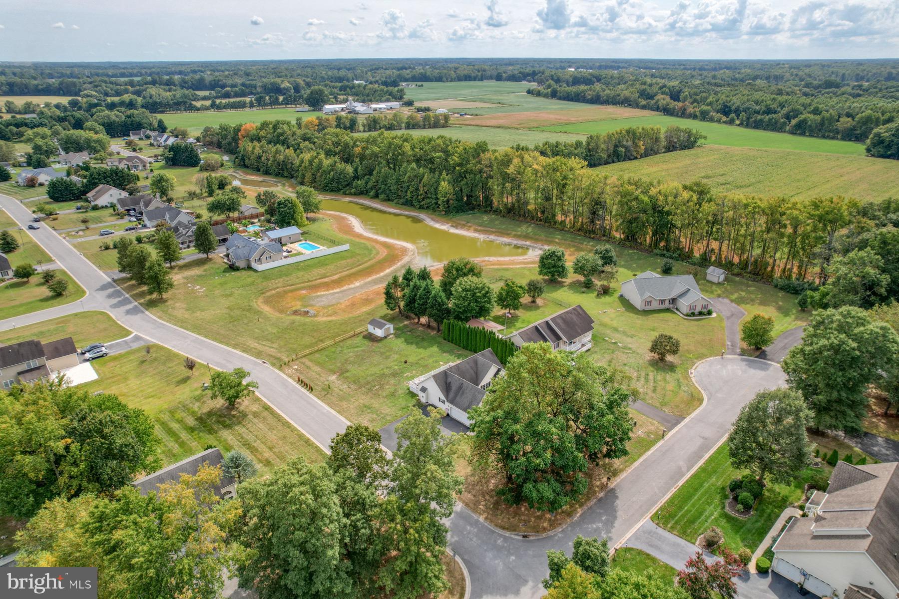 207 TALL TREE COURT