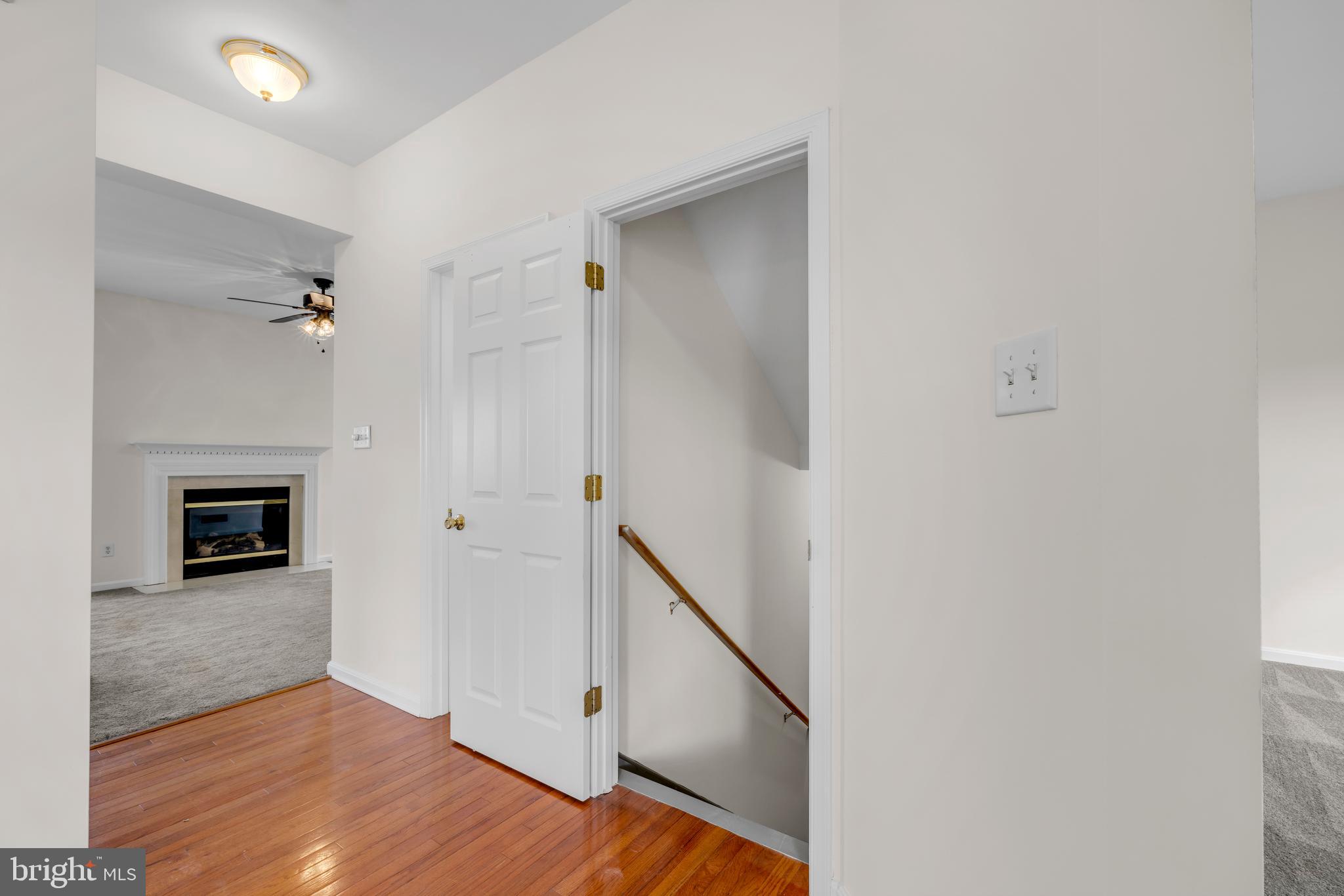 86 NUGENT LOOP