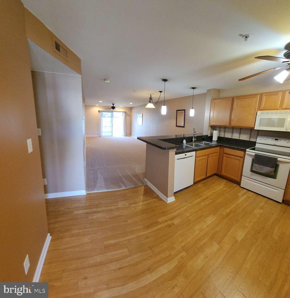 1840 CONGRESSIONAL VILLAG DRIVE 4202