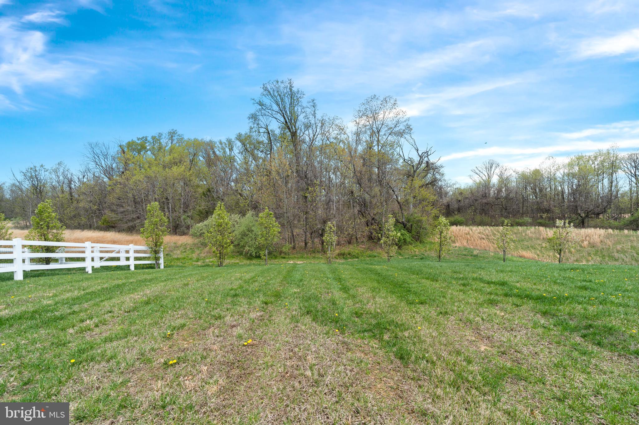 141 WYE OAK DRIVE