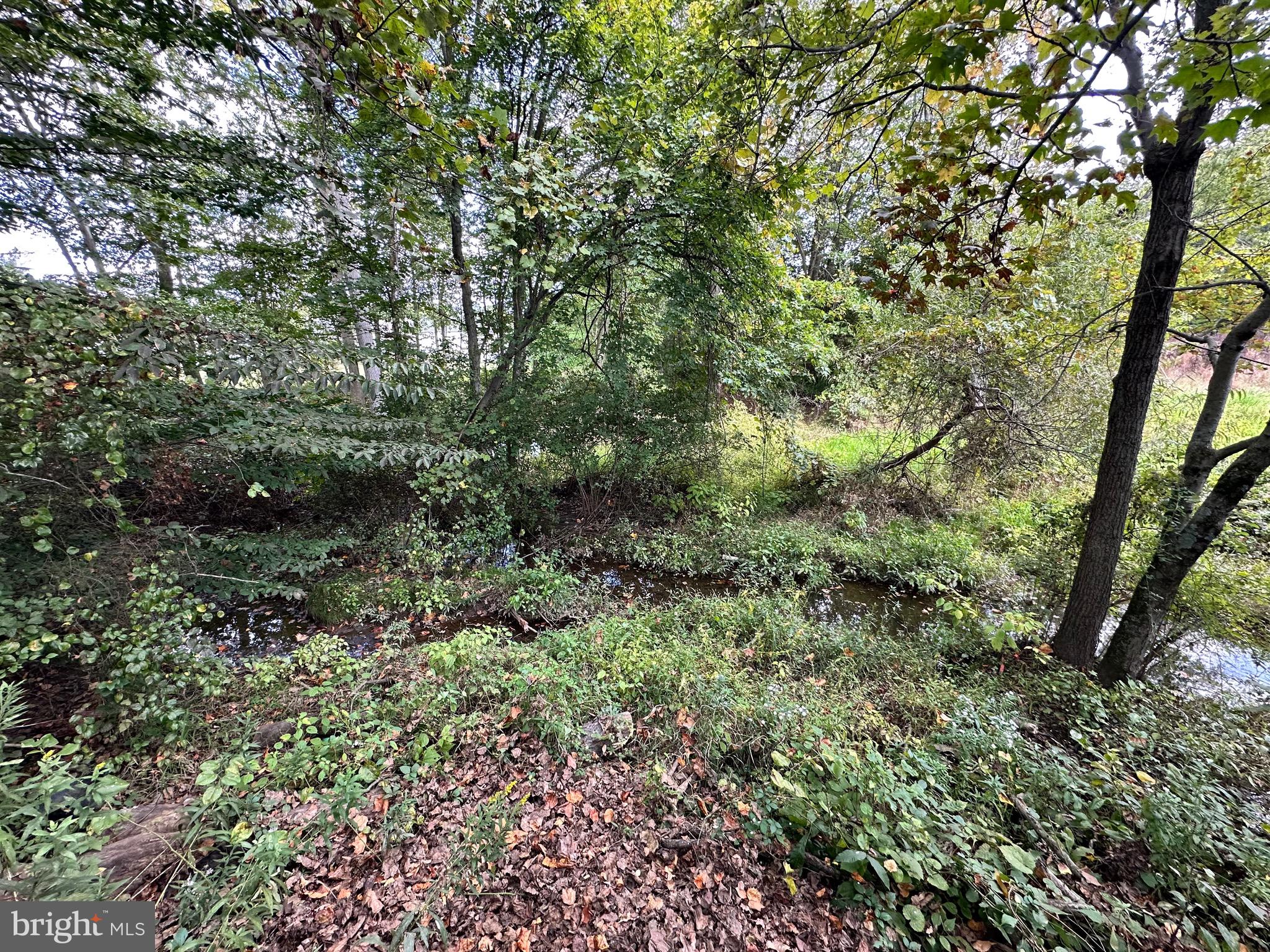 145 CREEKSIDE COURT