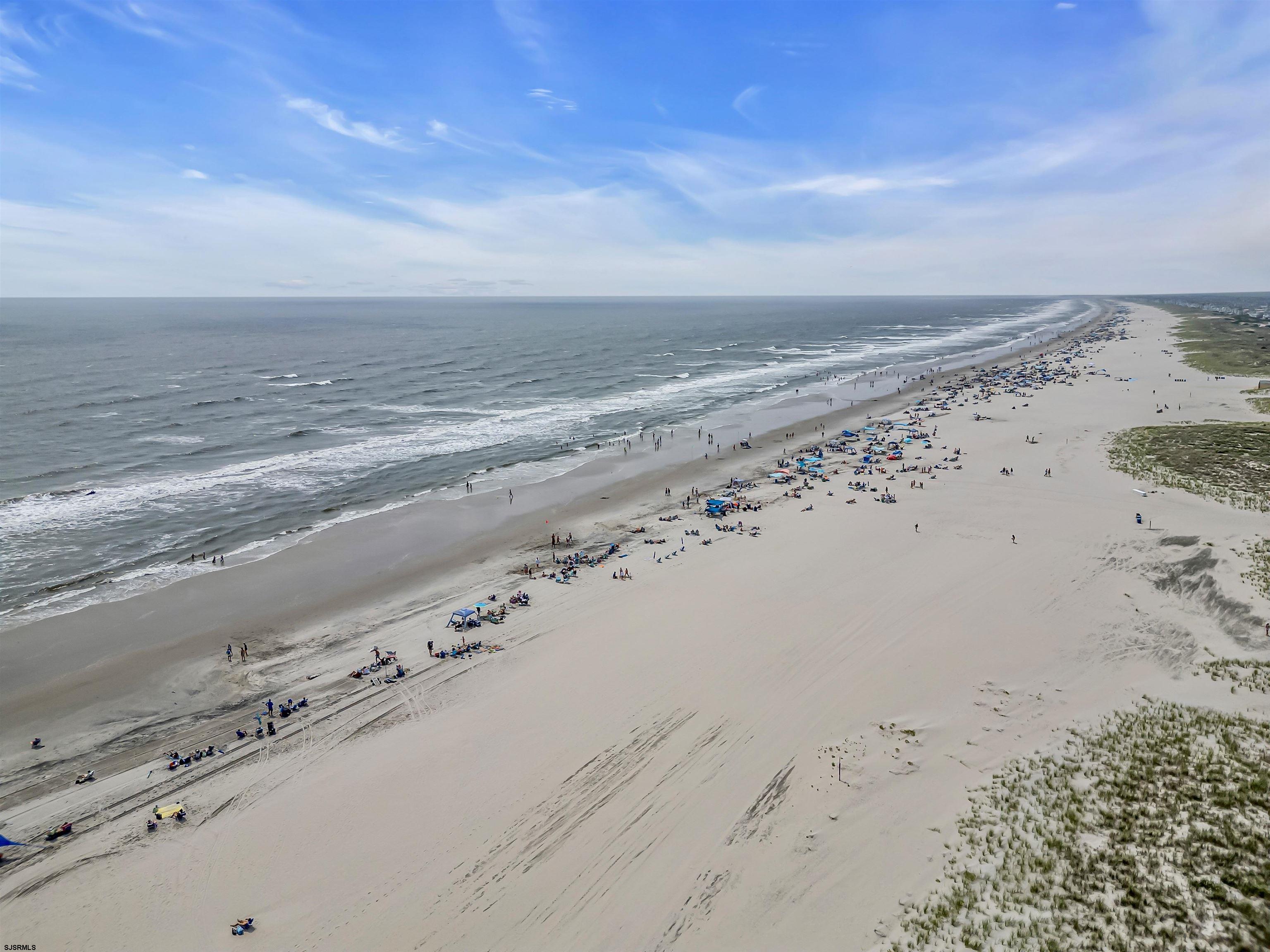 3113 Central Avenue Unit: 3N