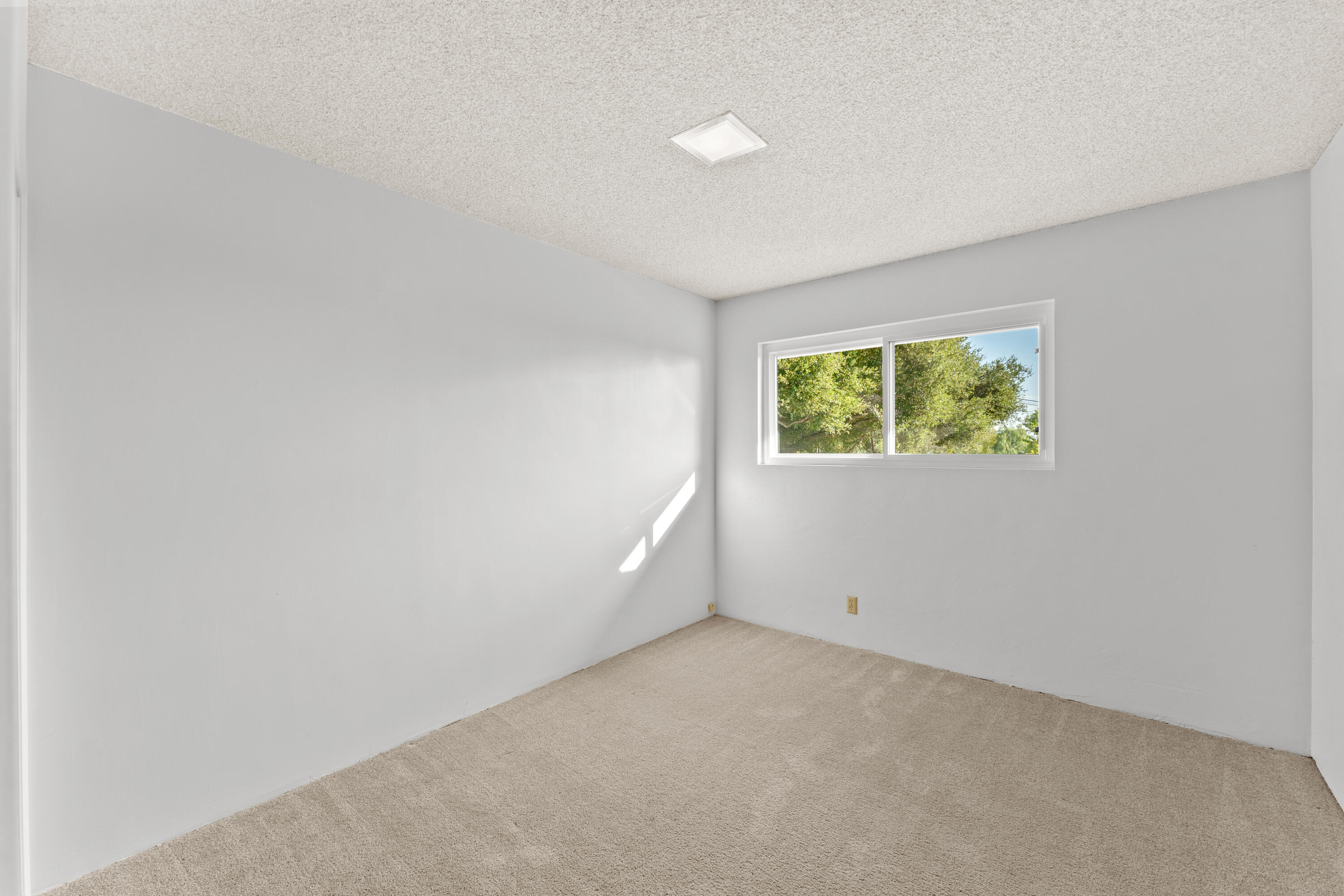 3919 Antone Road