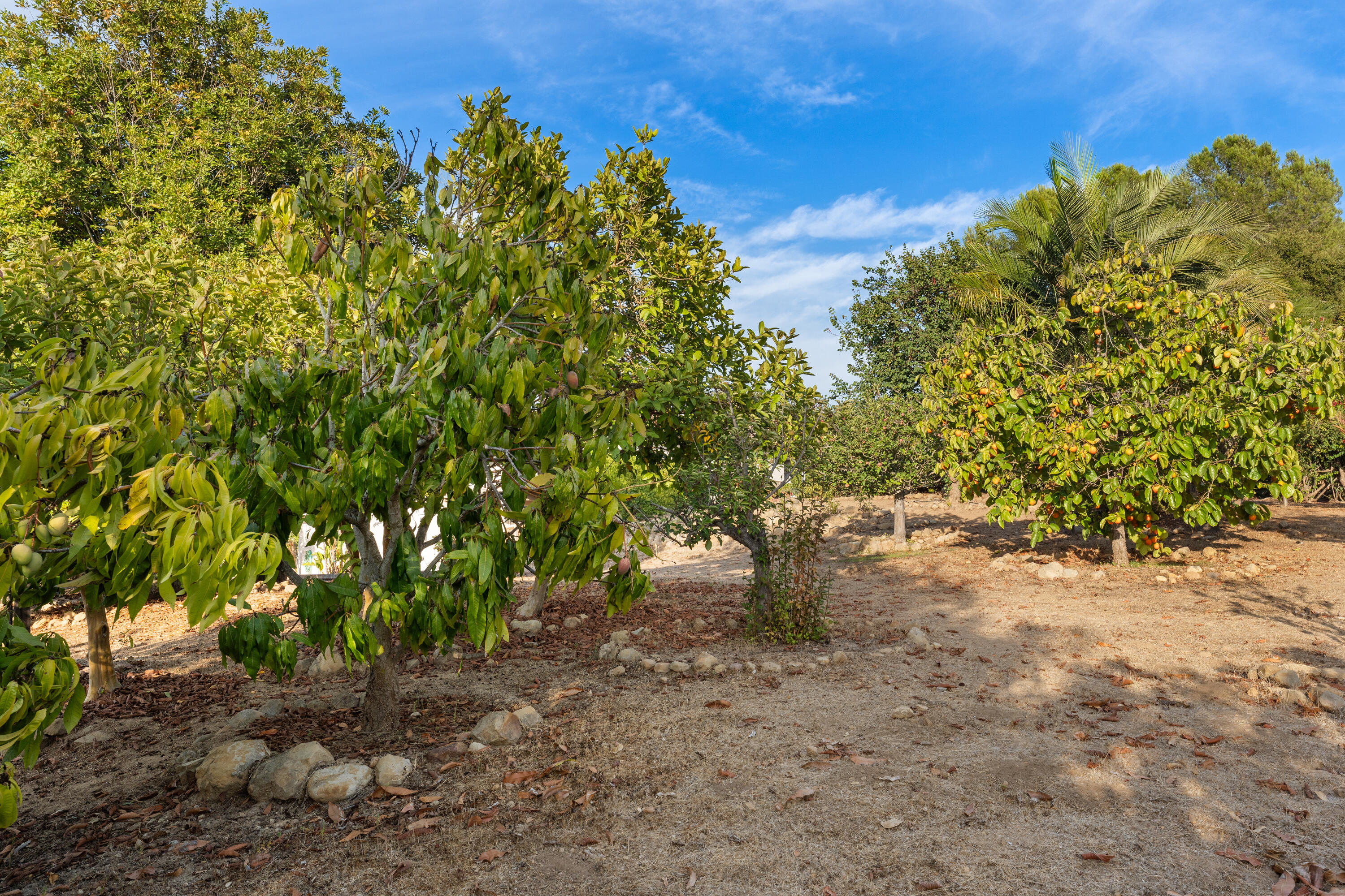 3919 Antone Road