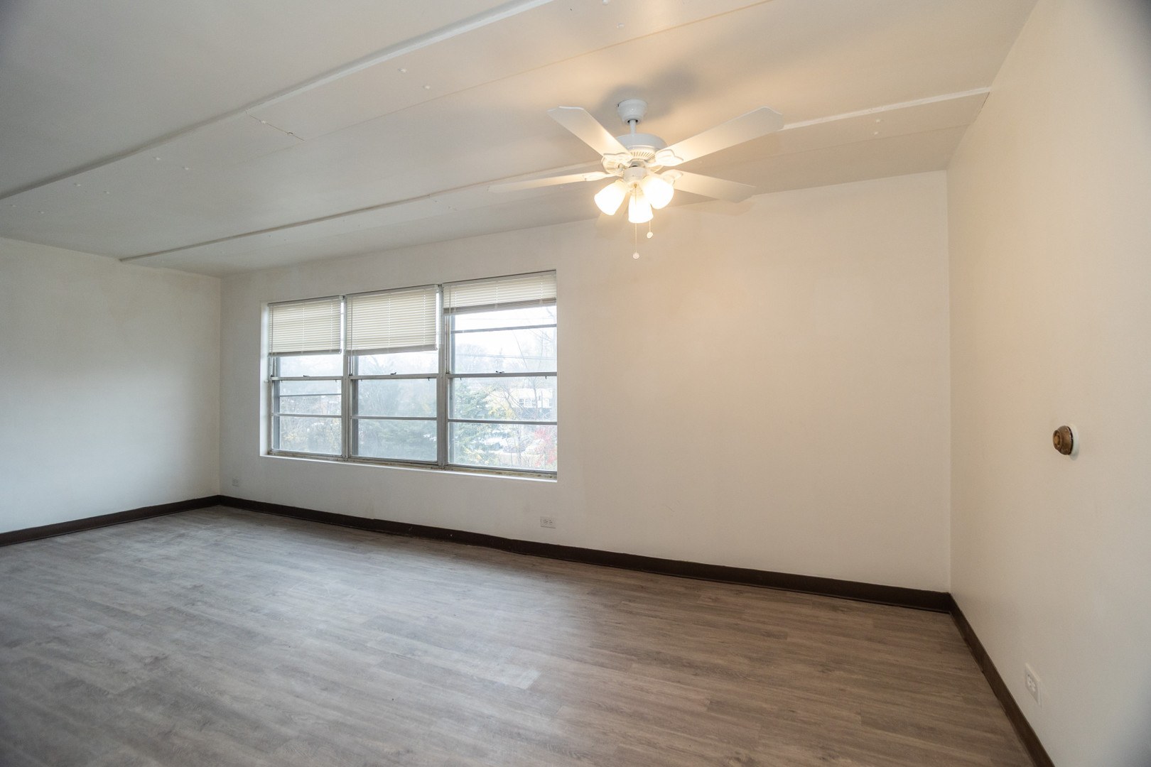 136 Ann Street Unit: 10