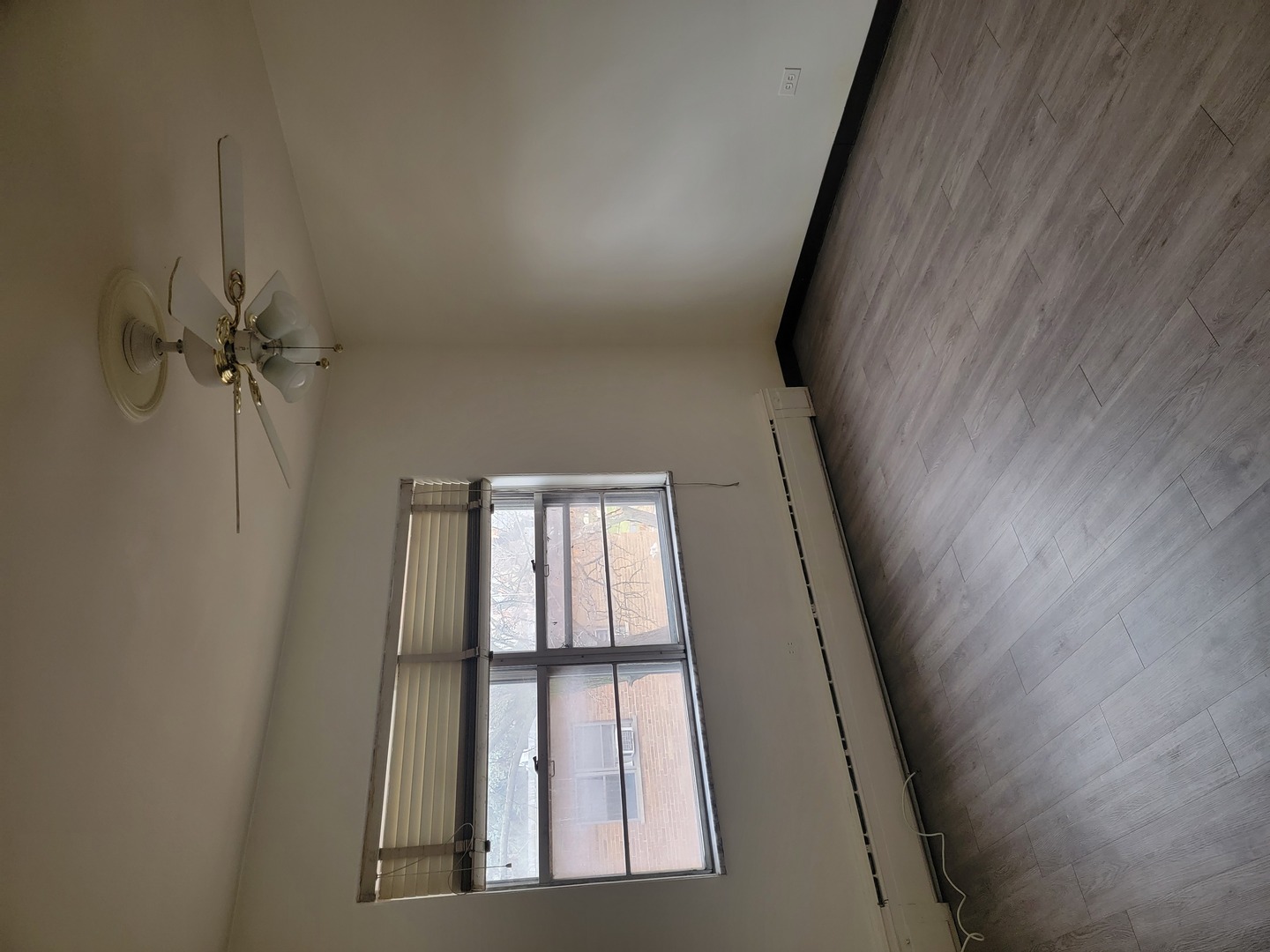 144 Ann Street Unit: 8