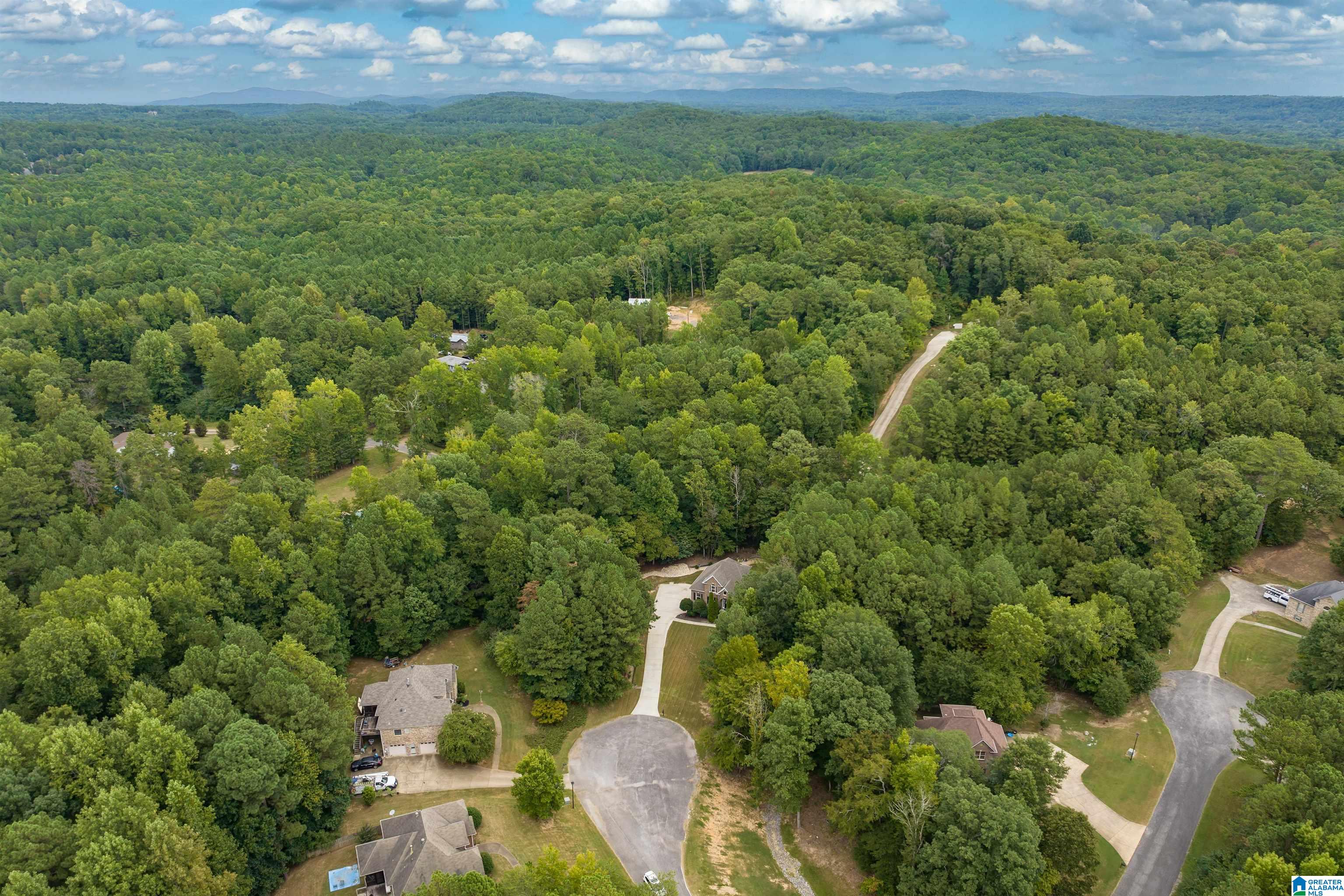 80 APPALACHIAN LANE