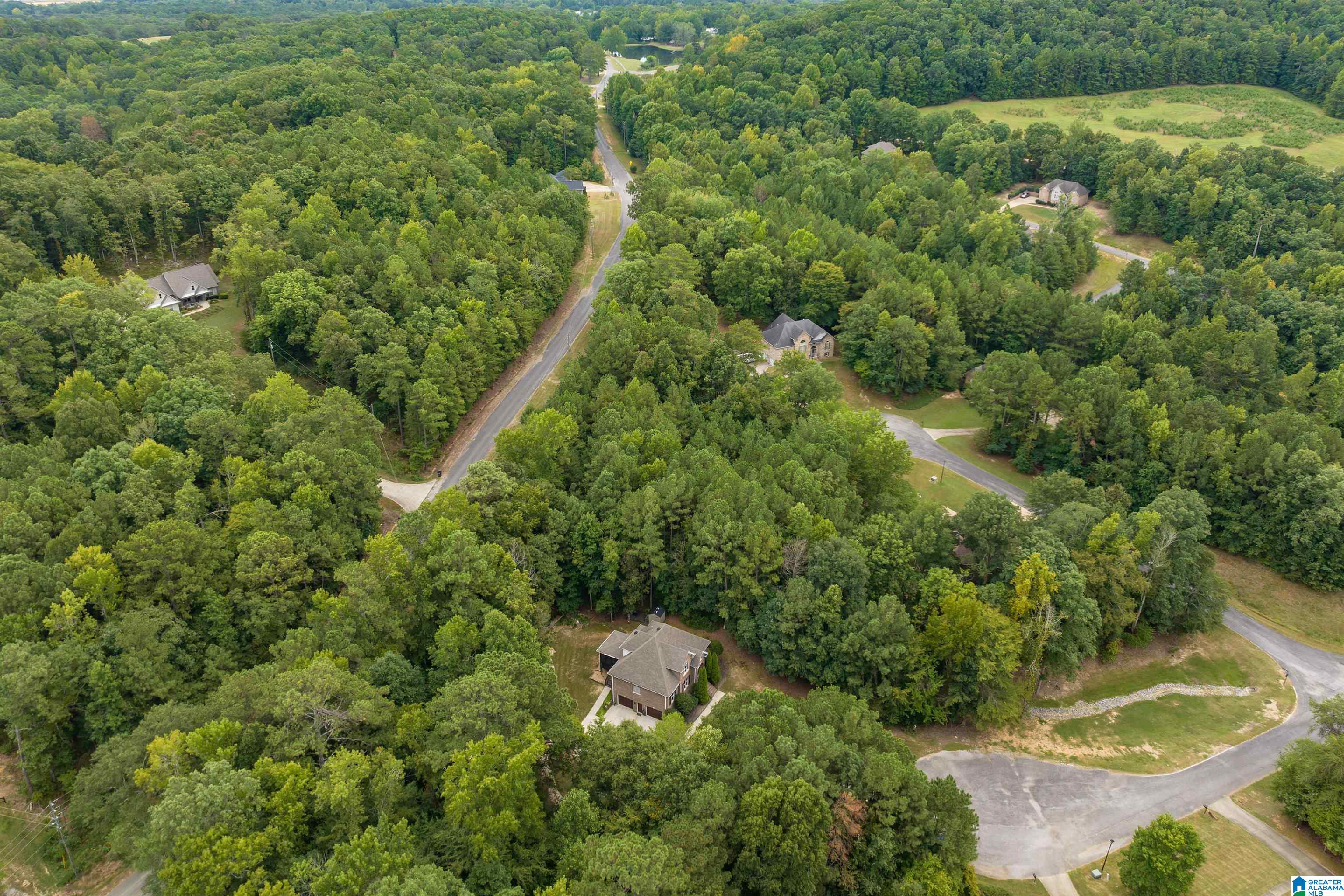 80 APPALACHIAN LANE