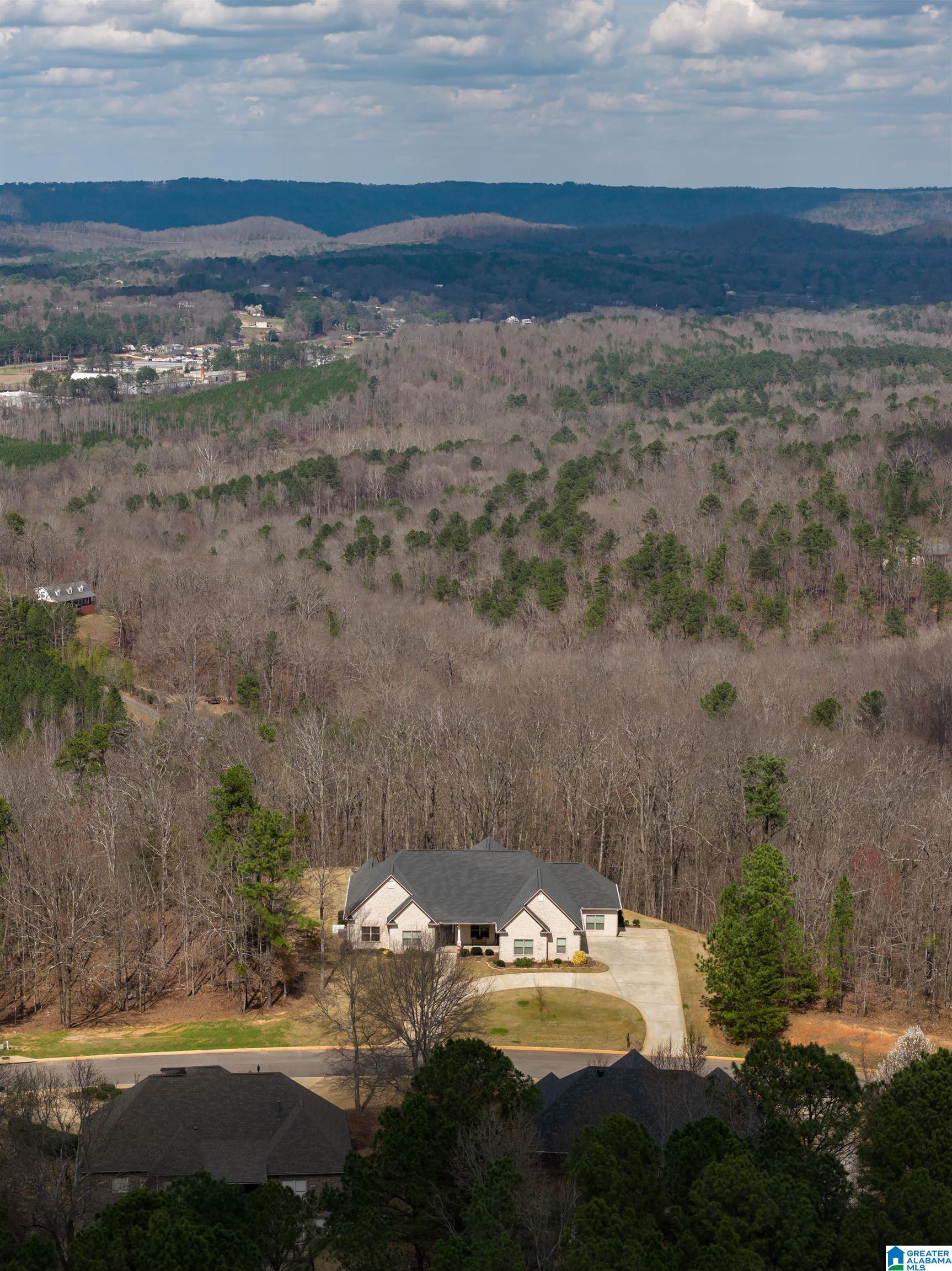 247 MIDDLE RIDGE TRAIL