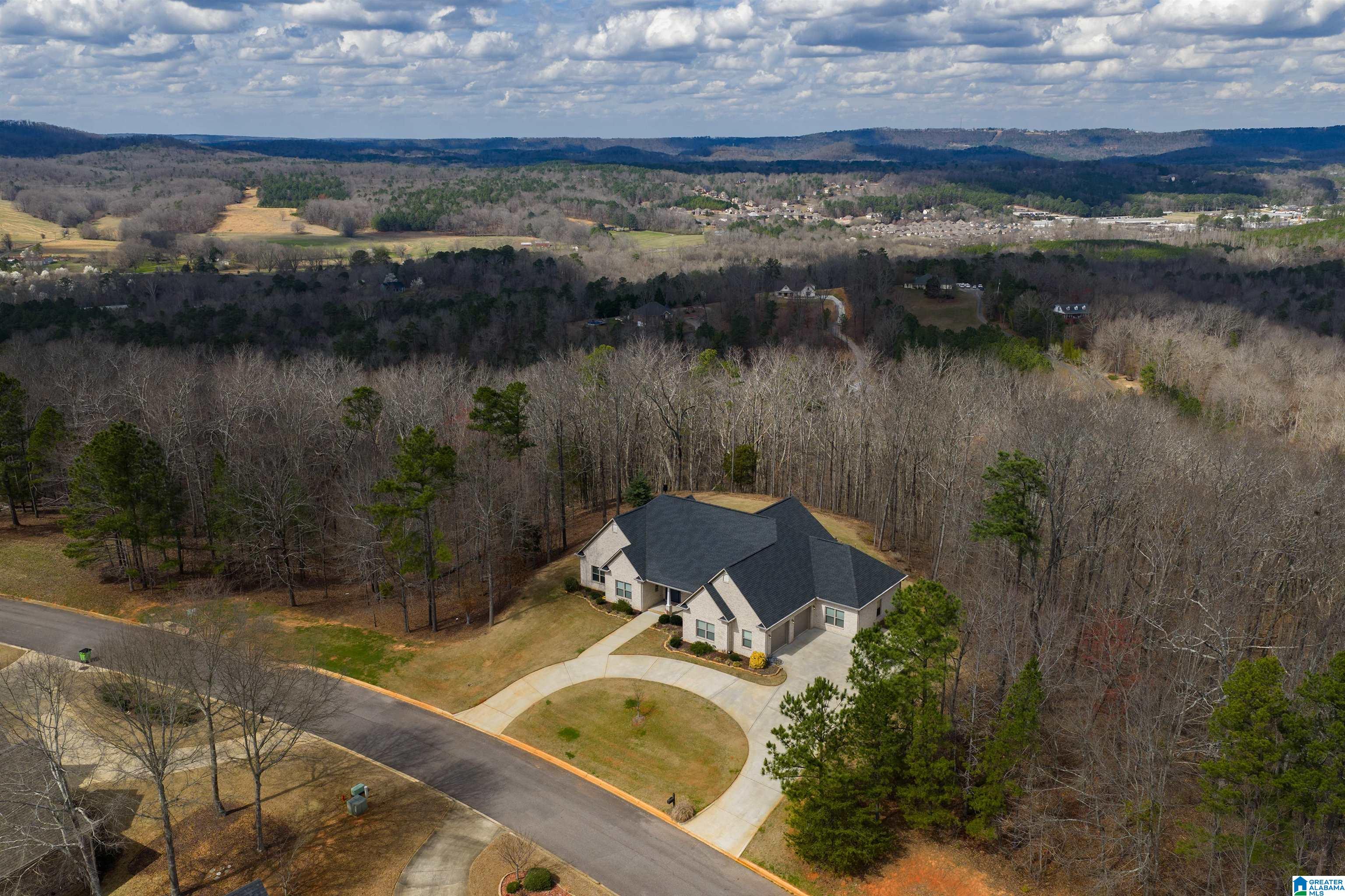 247 MIDDLE RIDGE TRAIL