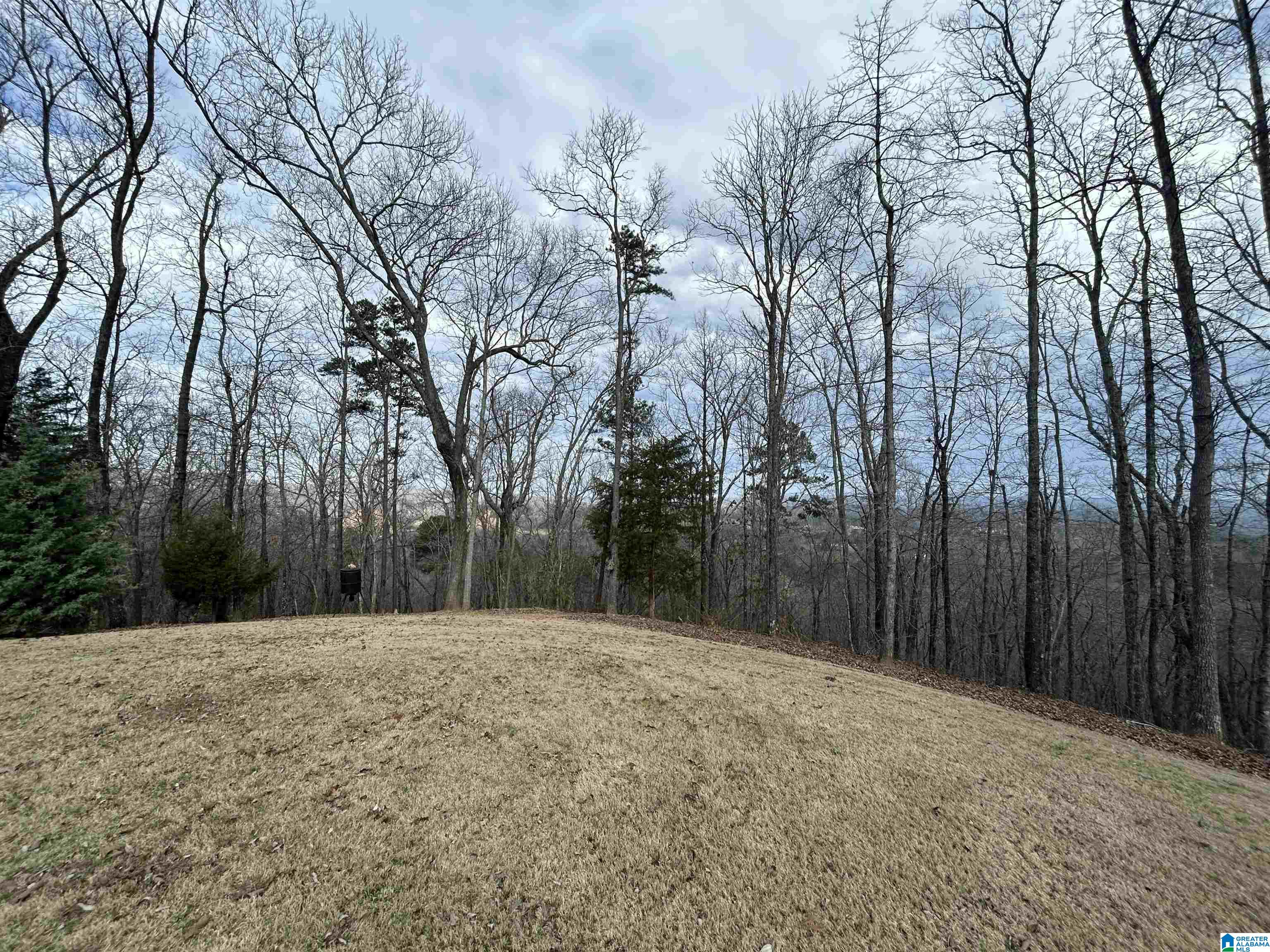 247 MIDDLE RIDGE TRAIL