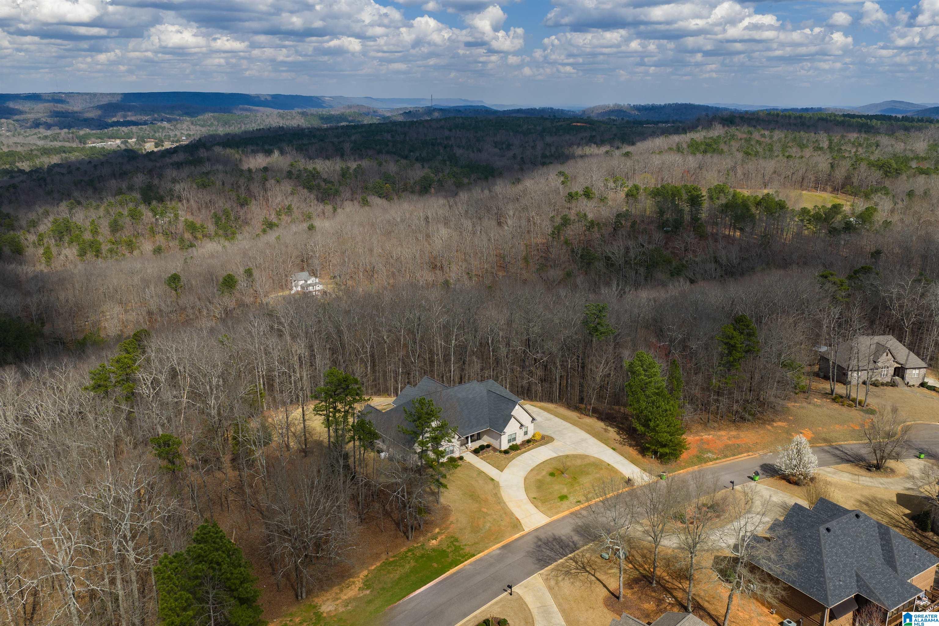 247 MIDDLE RIDGE TRAIL