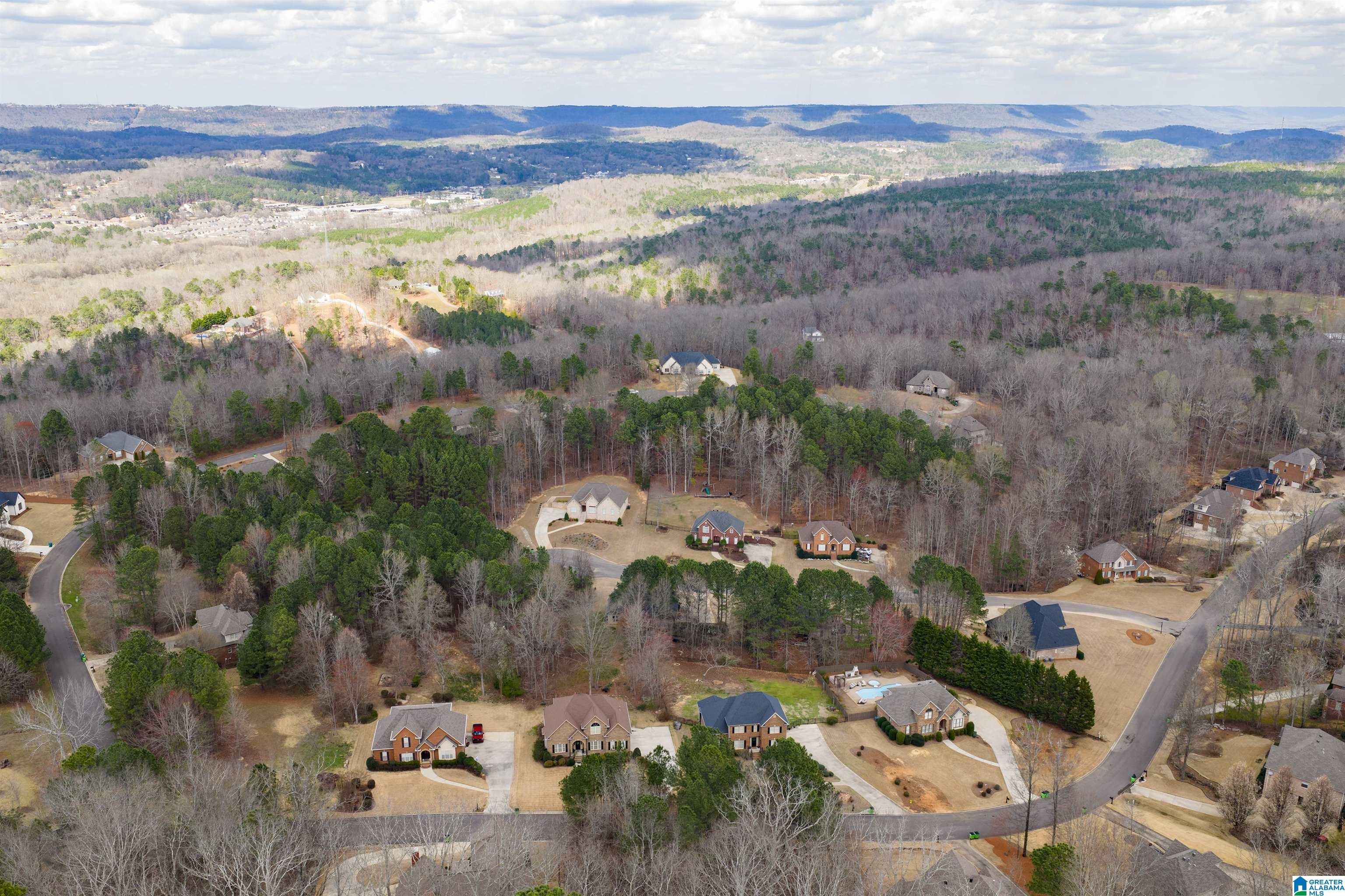 247 MIDDLE RIDGE TRAIL