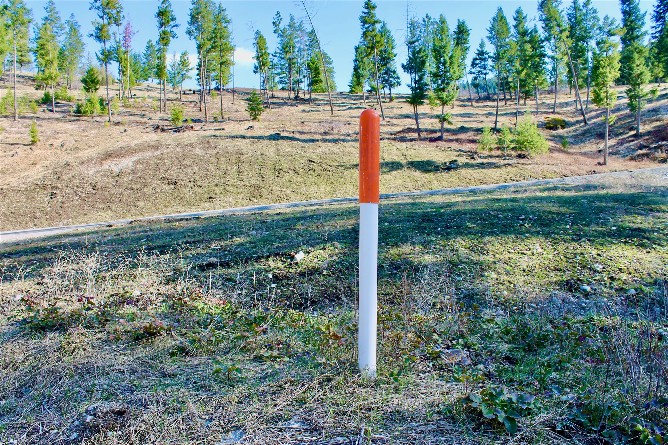 NHN Private Drive