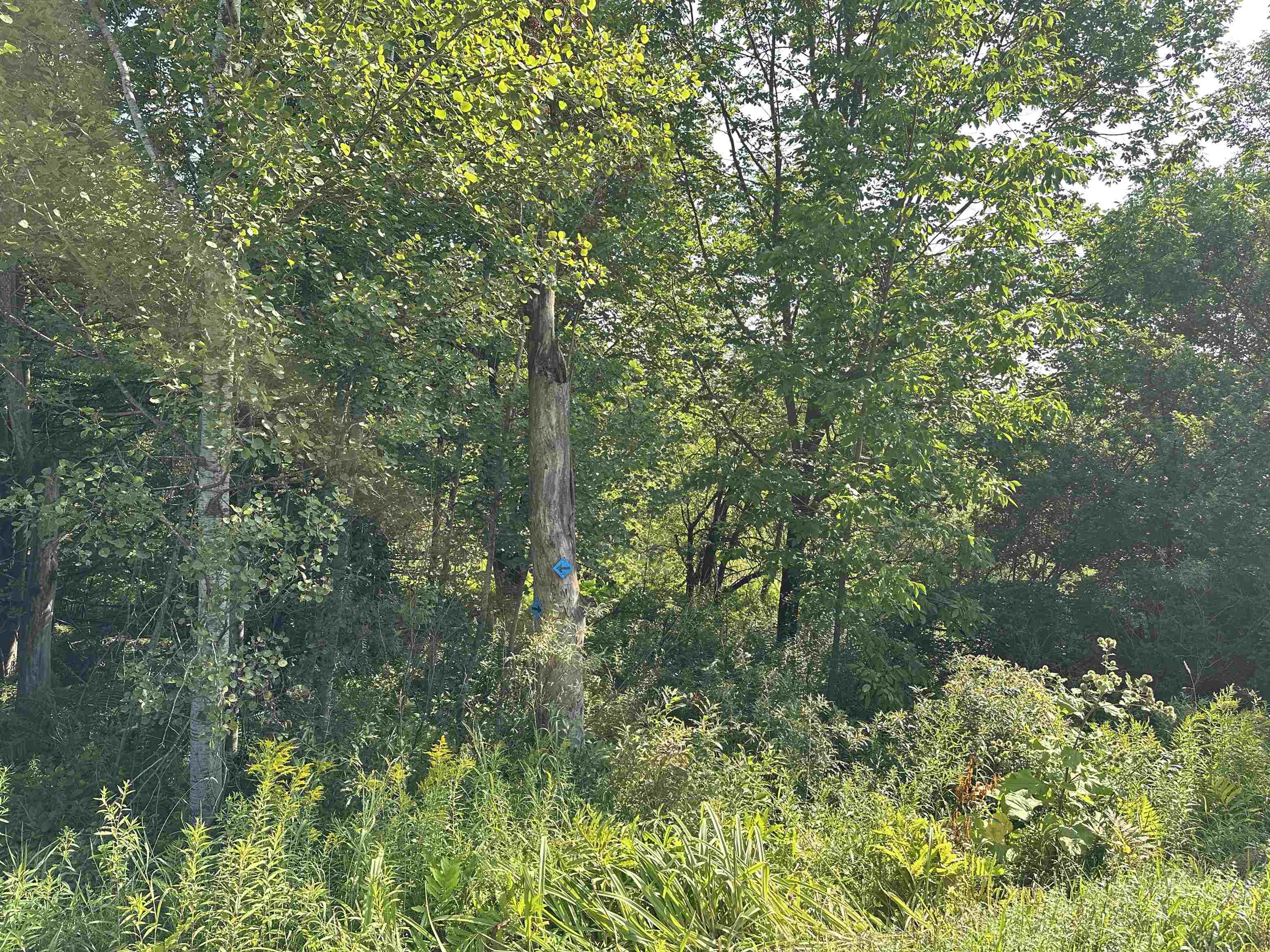 002 Elmore Pond Road