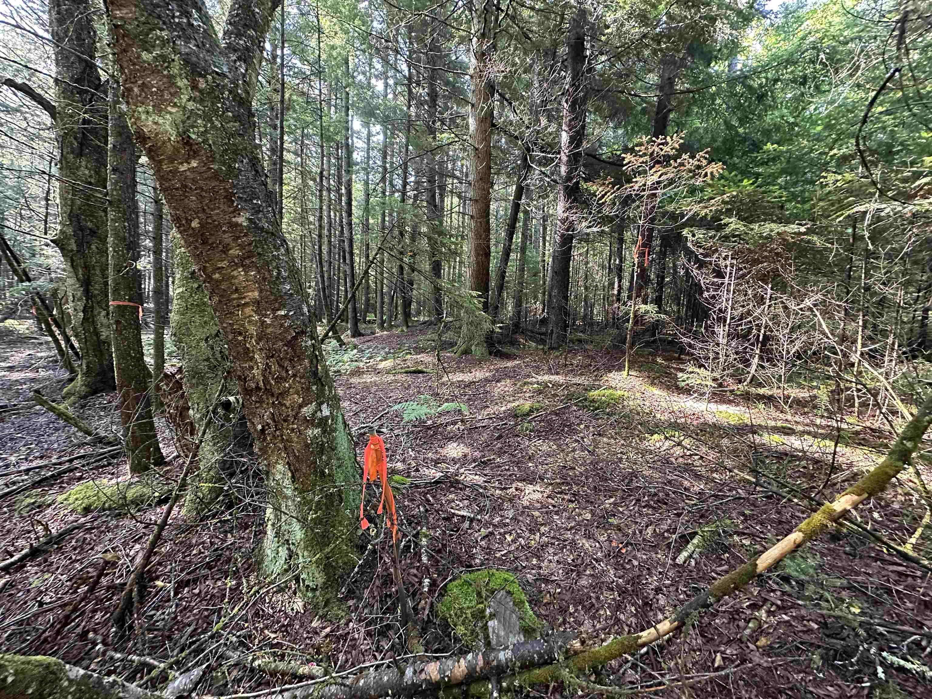 002 Elmore Pond Road