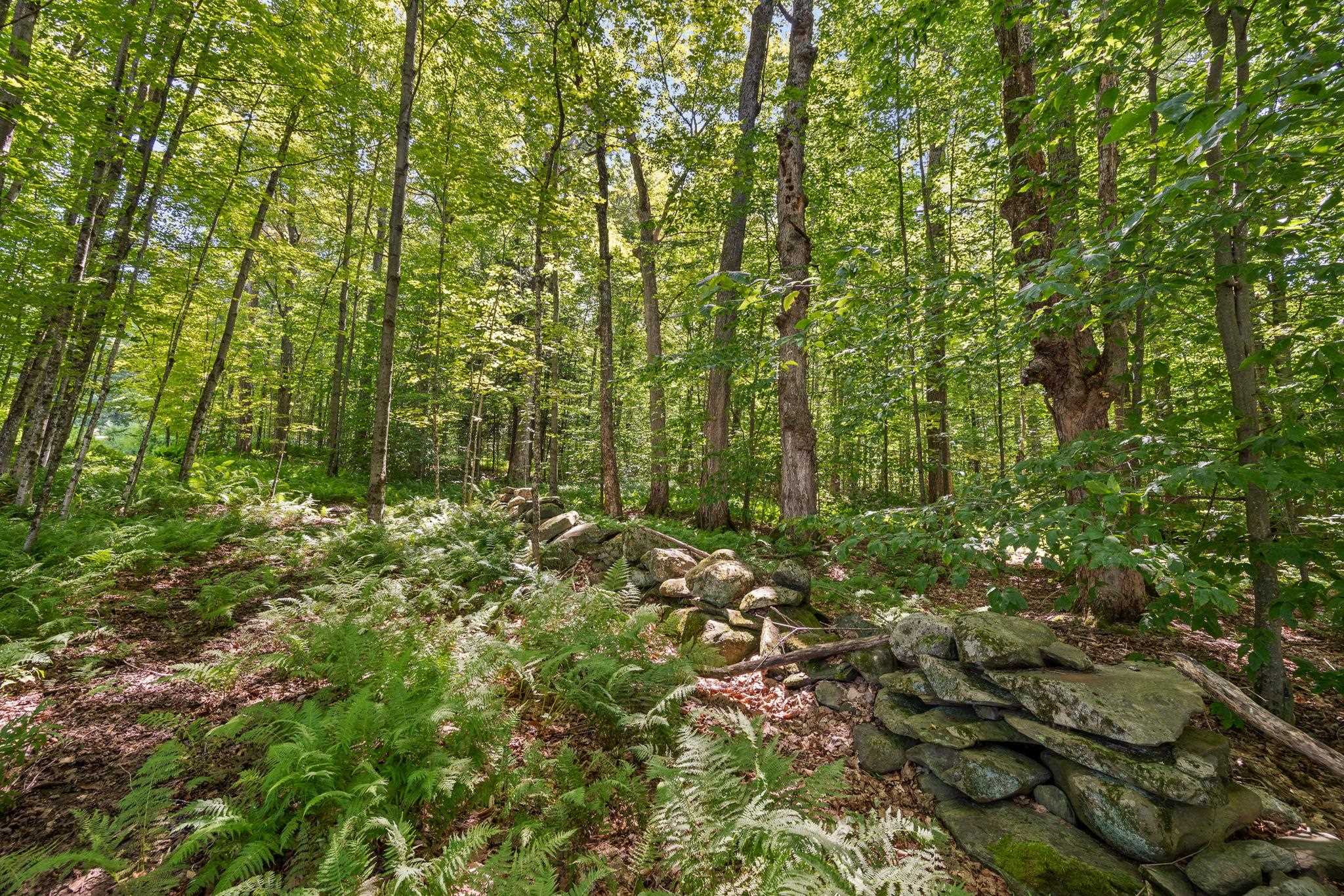 30 Black Walnut Lane