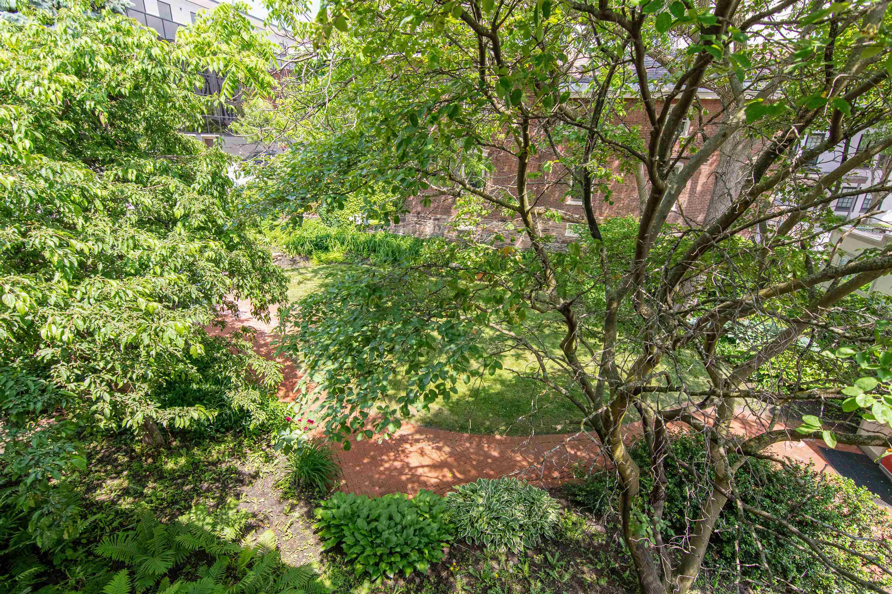 89 College Street Unit: Unit A-2