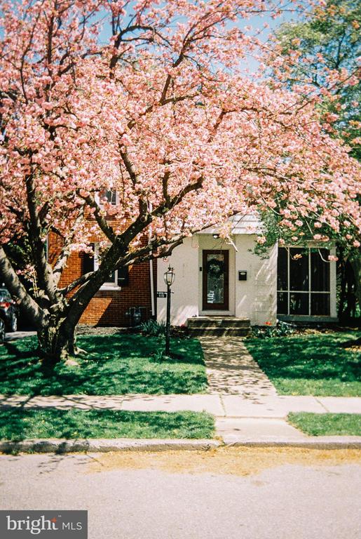 115 Atkins Ave