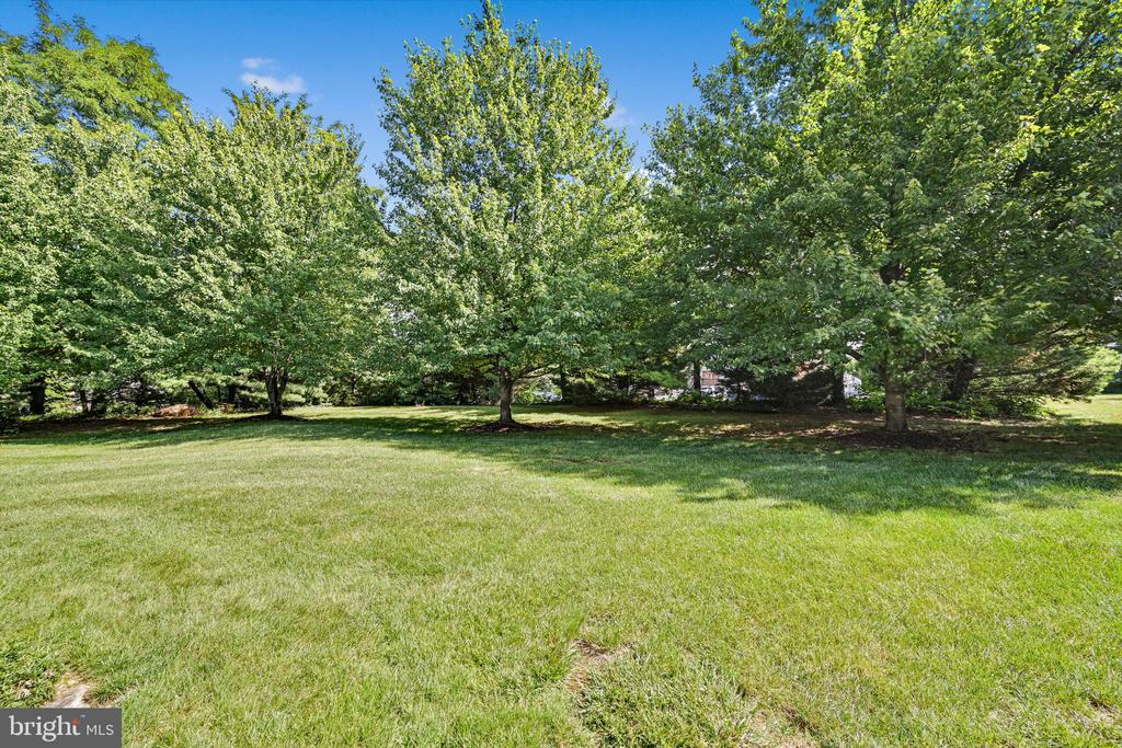 Spacious green lawn bordered by mature trees.