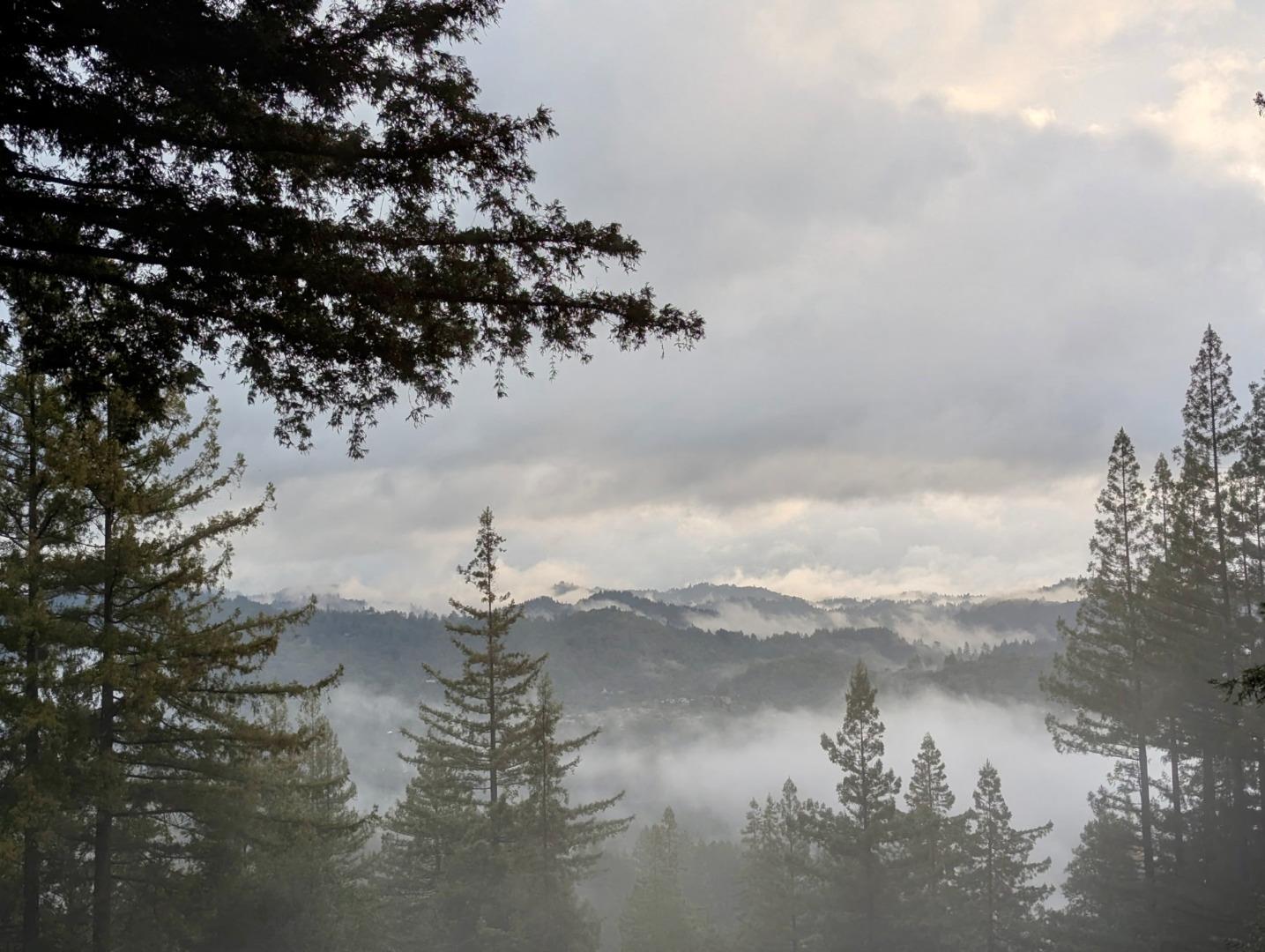 Misty mountain ridges and evergreen trees beneath a cloudy sky.