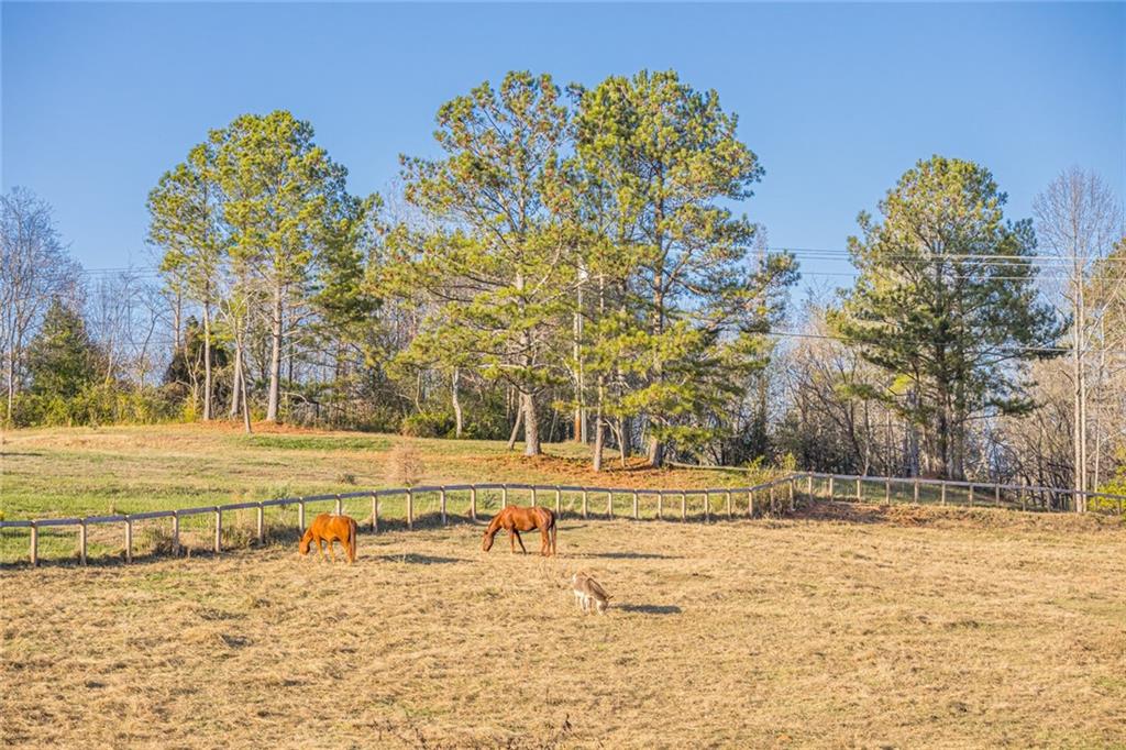 6627 YELLOW CREEK Road