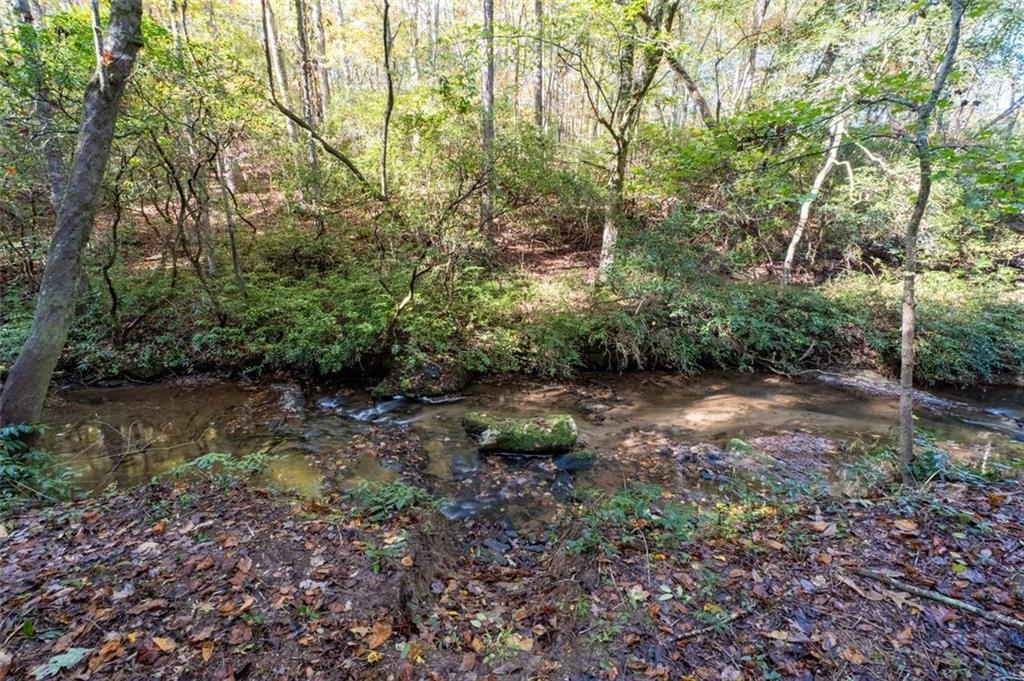 128 YOUNG DEER Drive