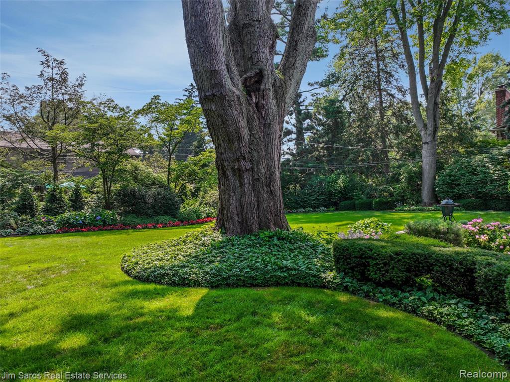 51 Lochmoor Boulevard