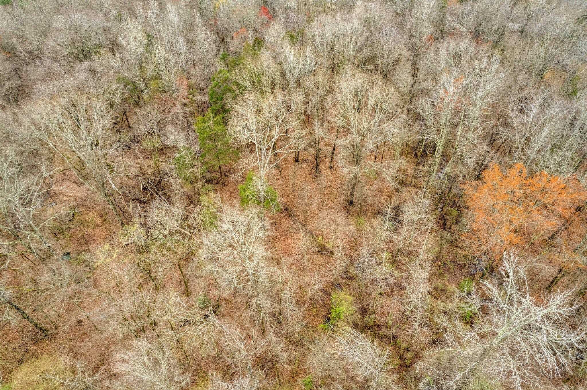 15 SCOTT DR