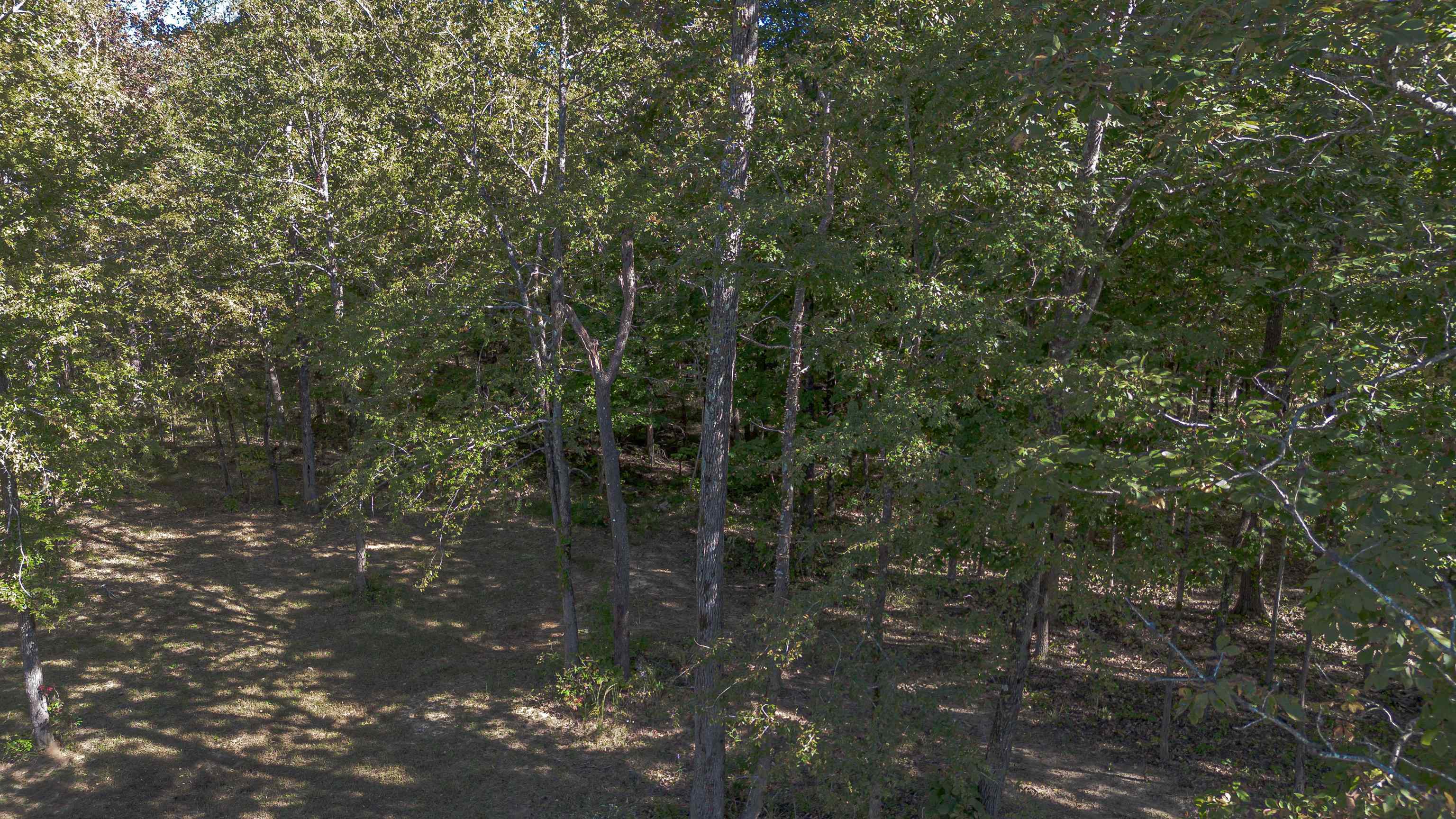1460 HWY 18 HWY S