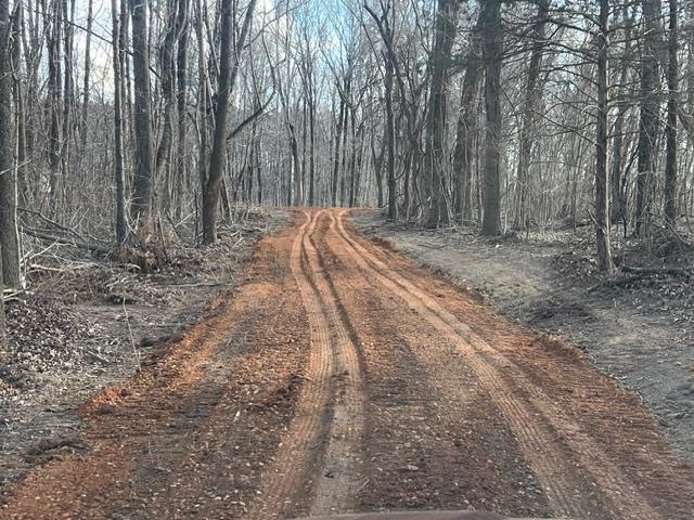 LOT 1 BRAMMER RD