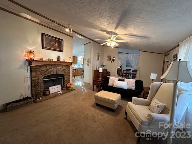 106 COLE CAMPBELL Road