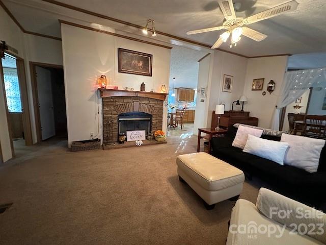 106 COLE CAMPBELL Road