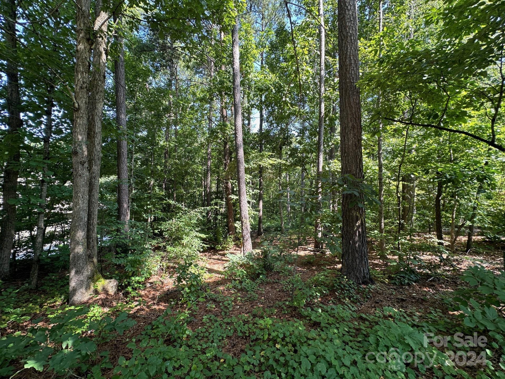 32 Miners Creek Drive