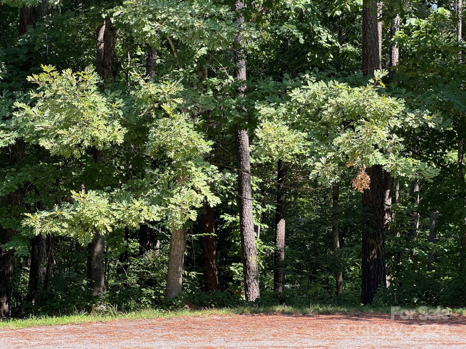 32 Miners Creek Drive