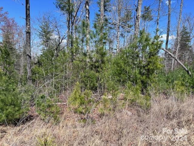 260 Scenic Lane Unit: 260