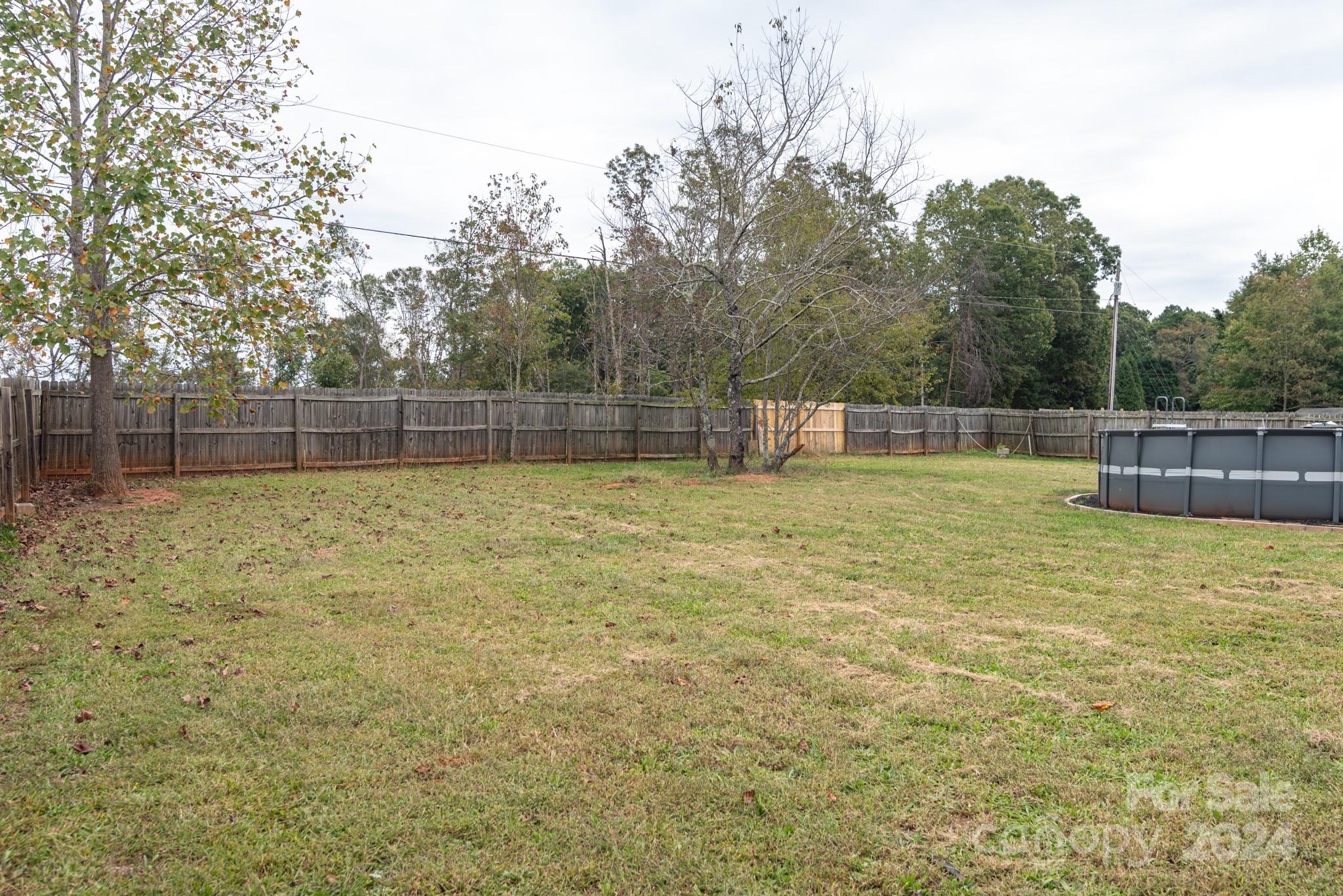 1100 Black Walnut Drive