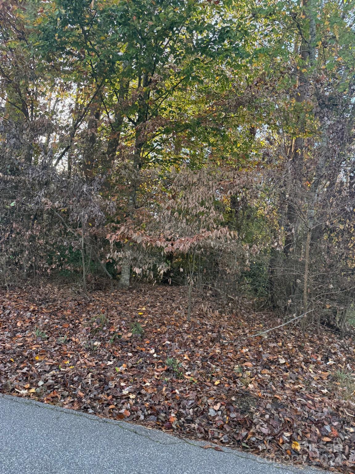 947 30th Avenue Drive NW