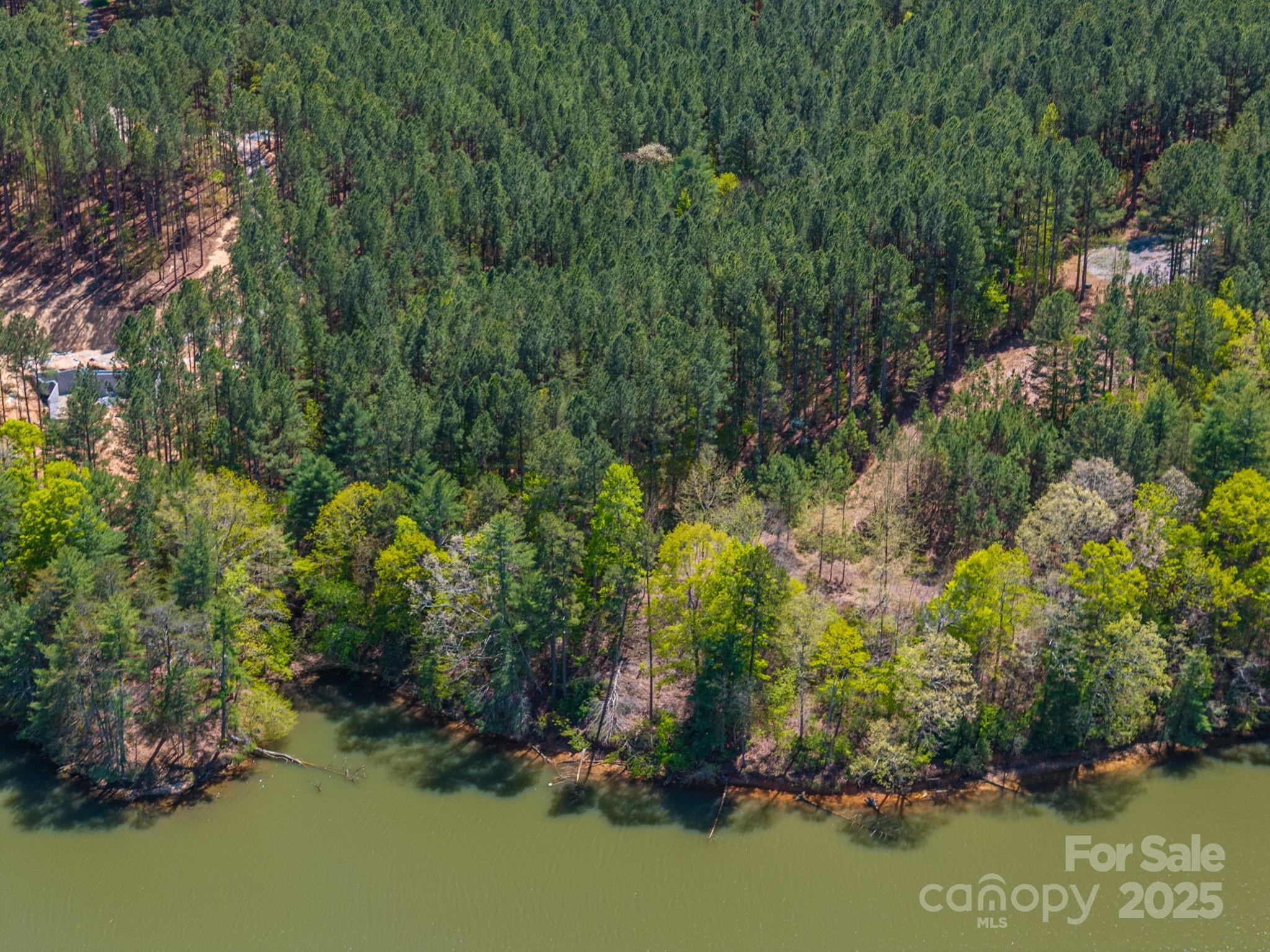 1236 Boardwalk Drive