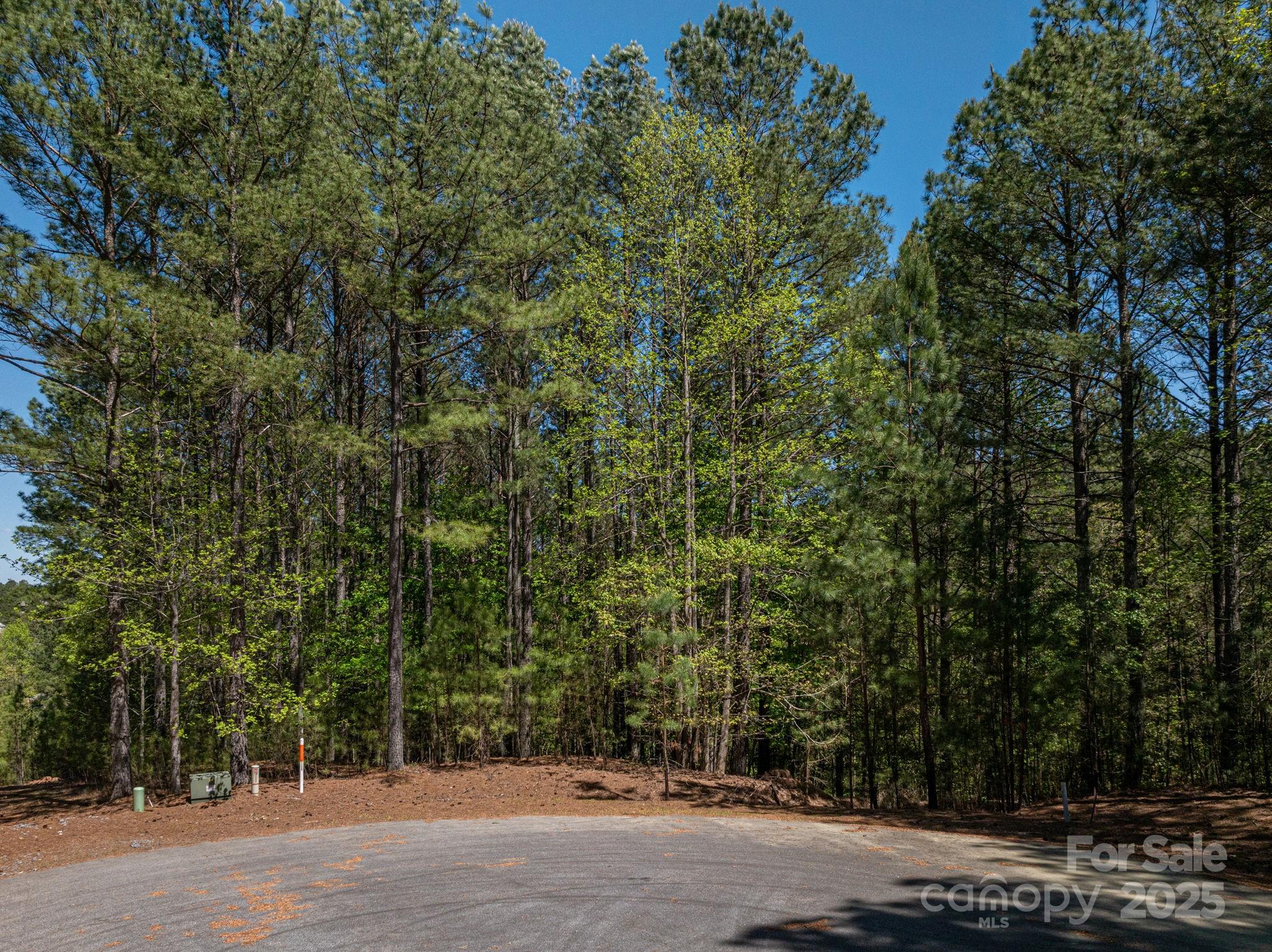 1236 Boardwalk Drive