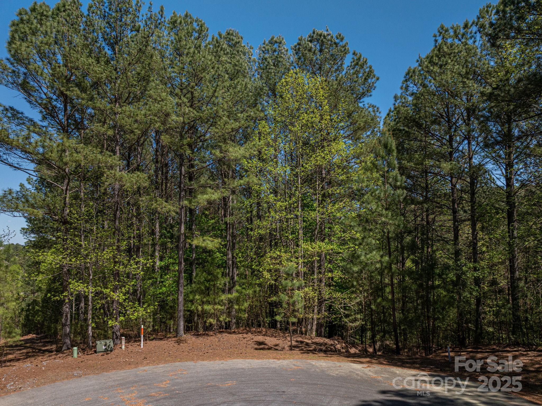 1236 Boardwalk Drive