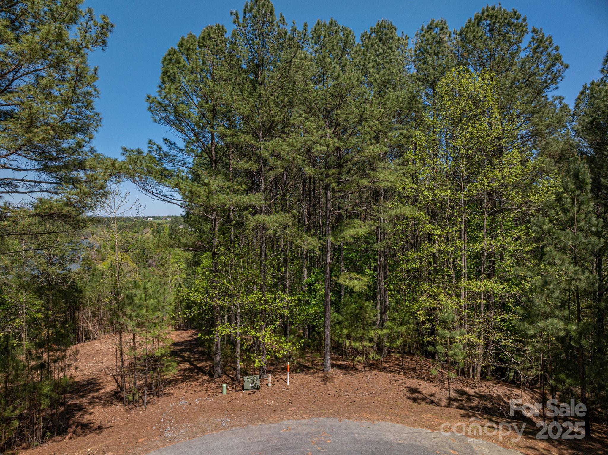 1236 Boardwalk Drive