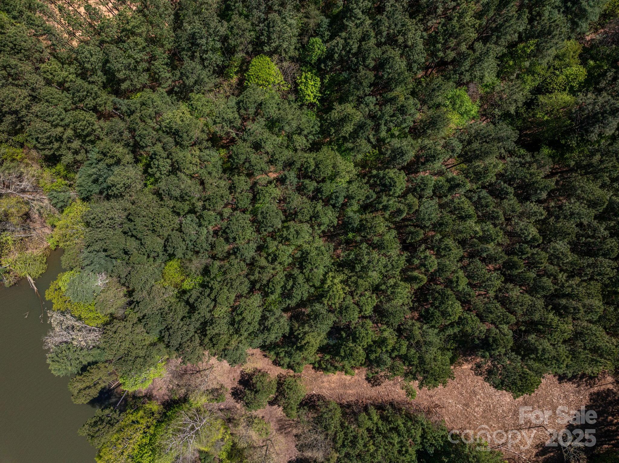 1236 Boardwalk Drive