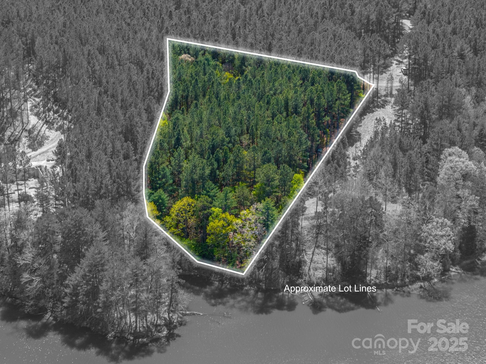 1236 Boardwalk Drive