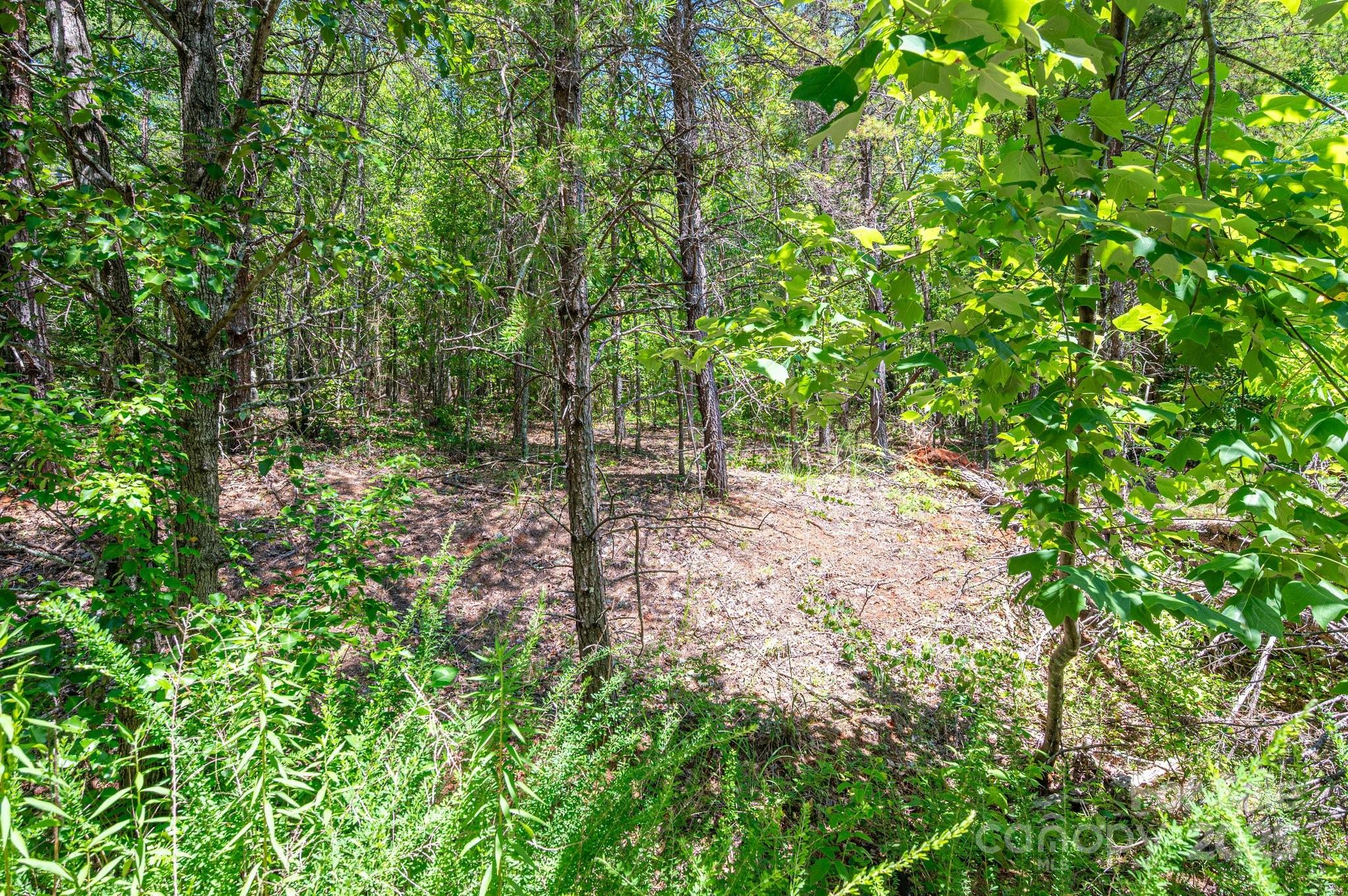 135 Heatherwood Drive