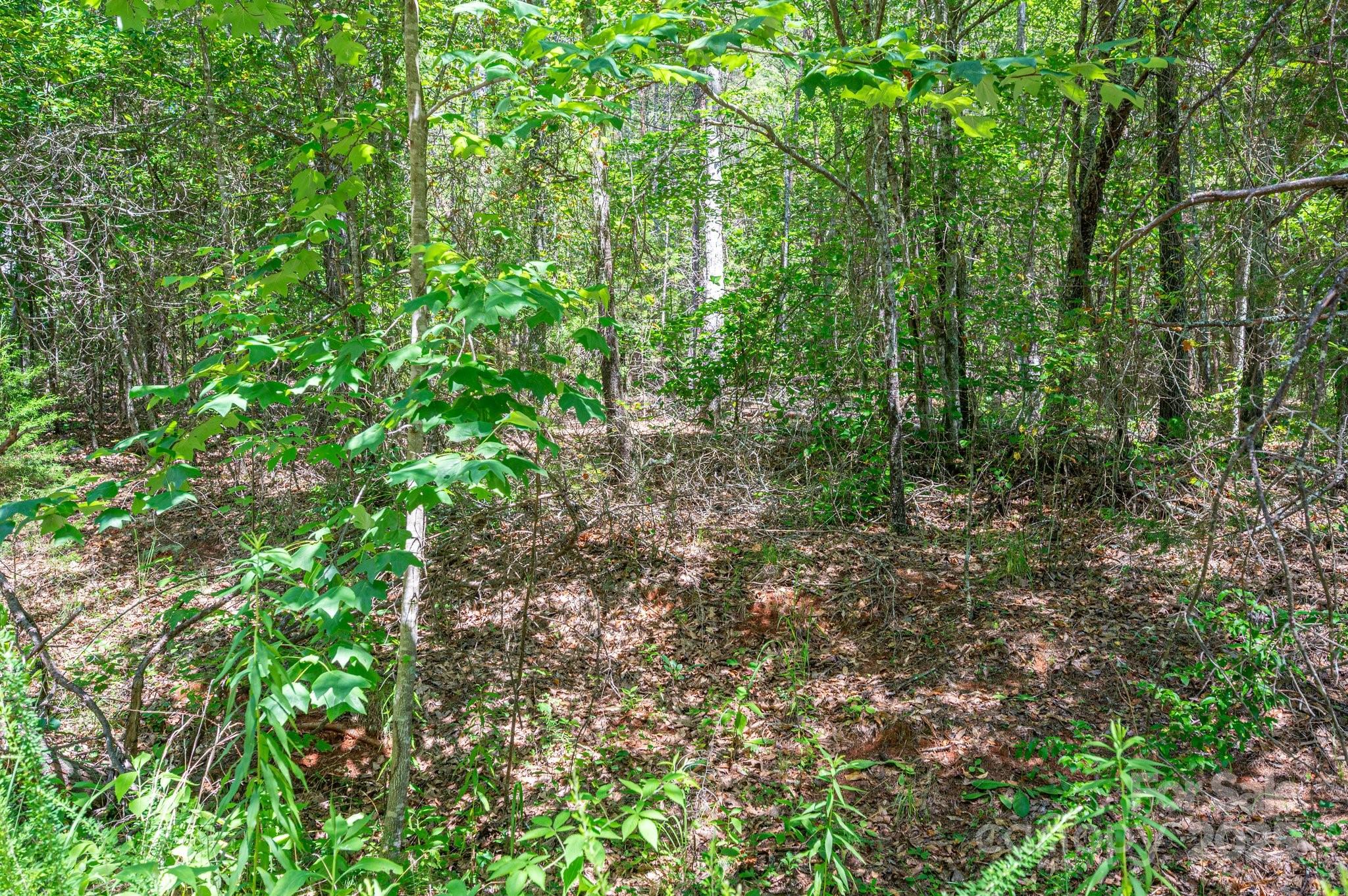 135 Heatherwood Drive