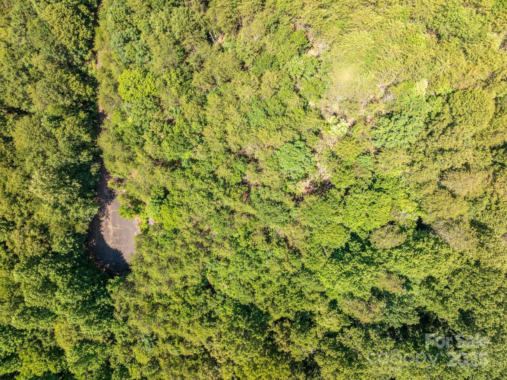 135 Heatherwood Drive