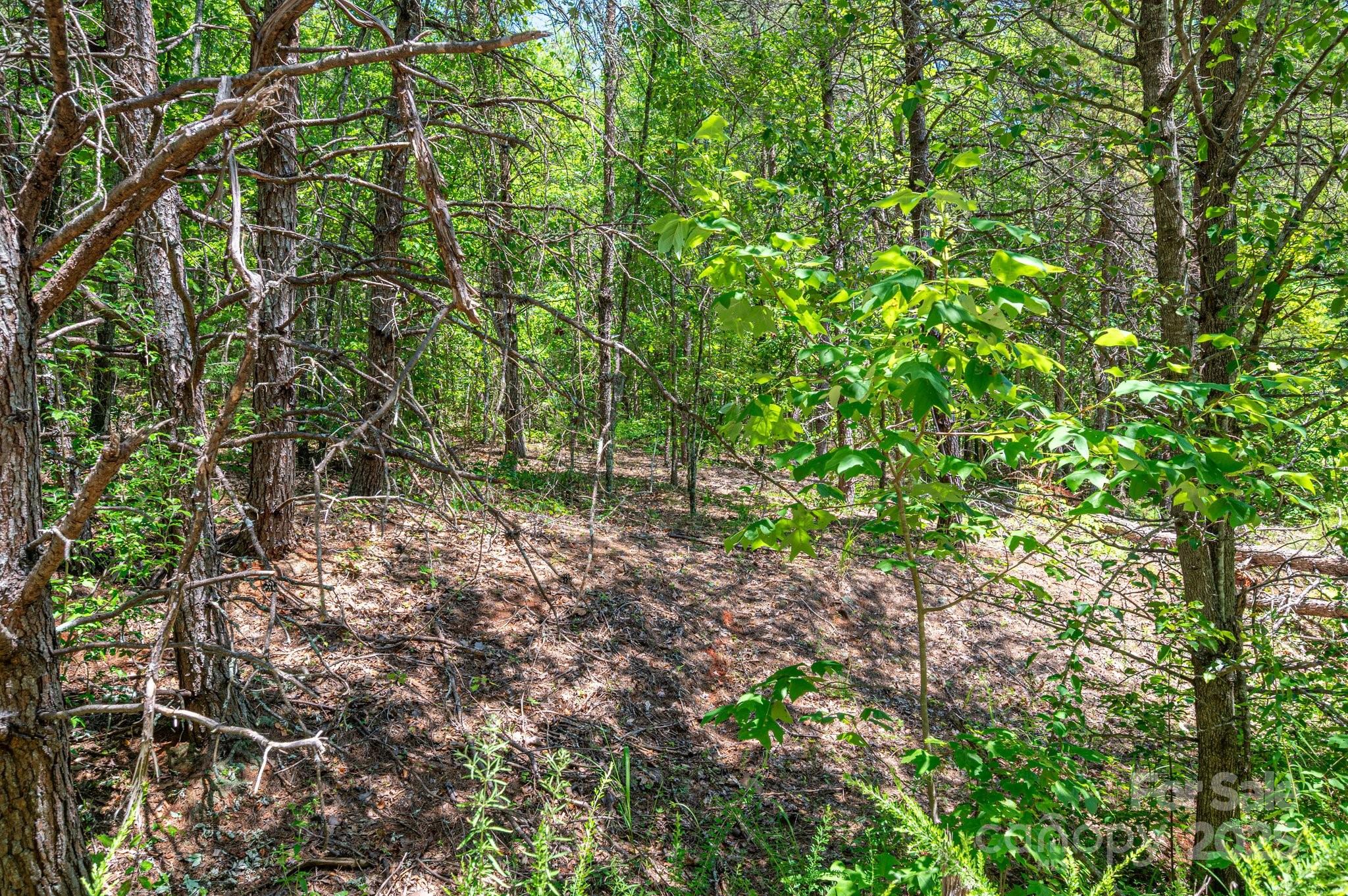 135 Heatherwood Drive
