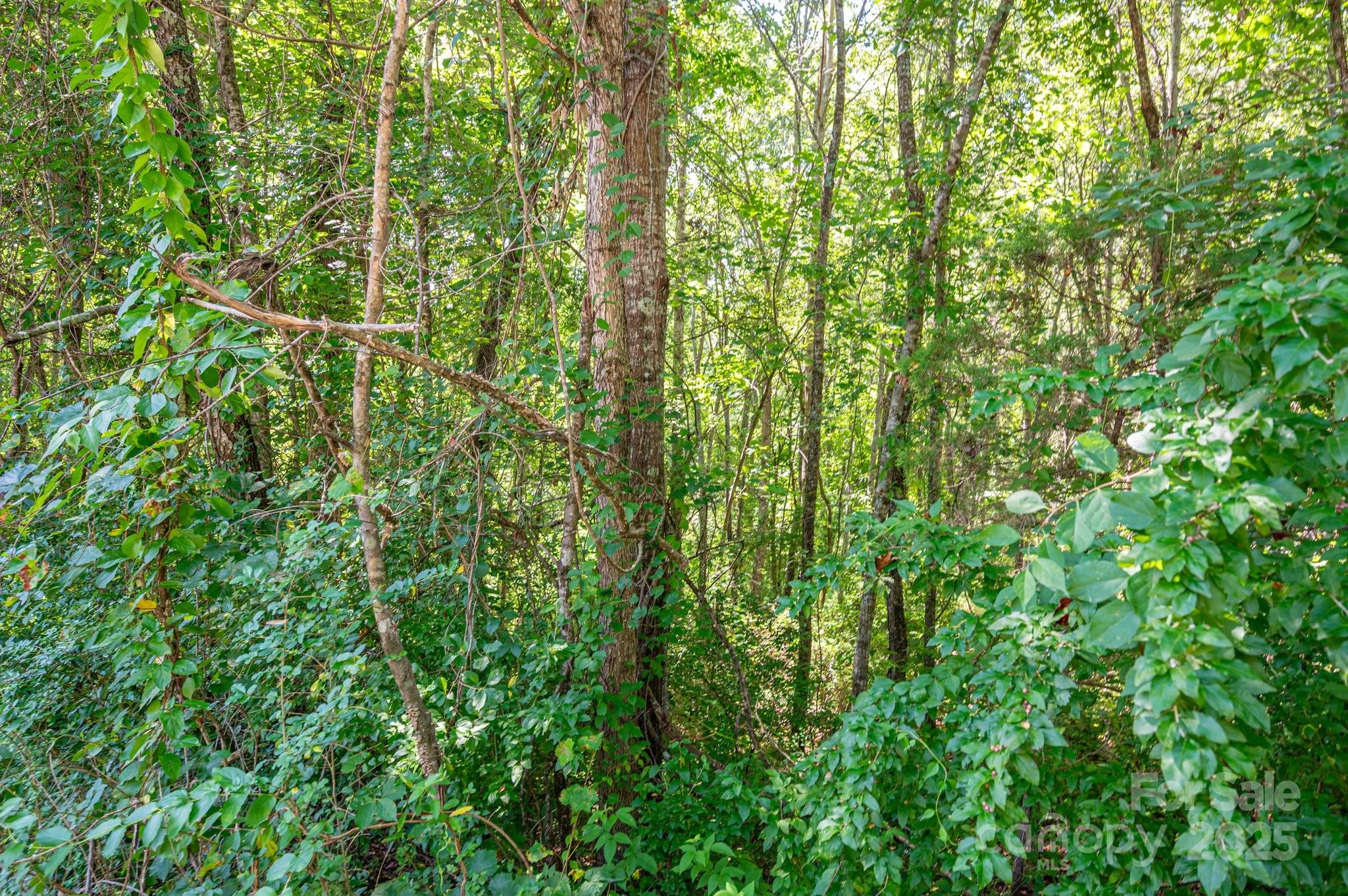 Lot # 16 Meadow Crossing Drive